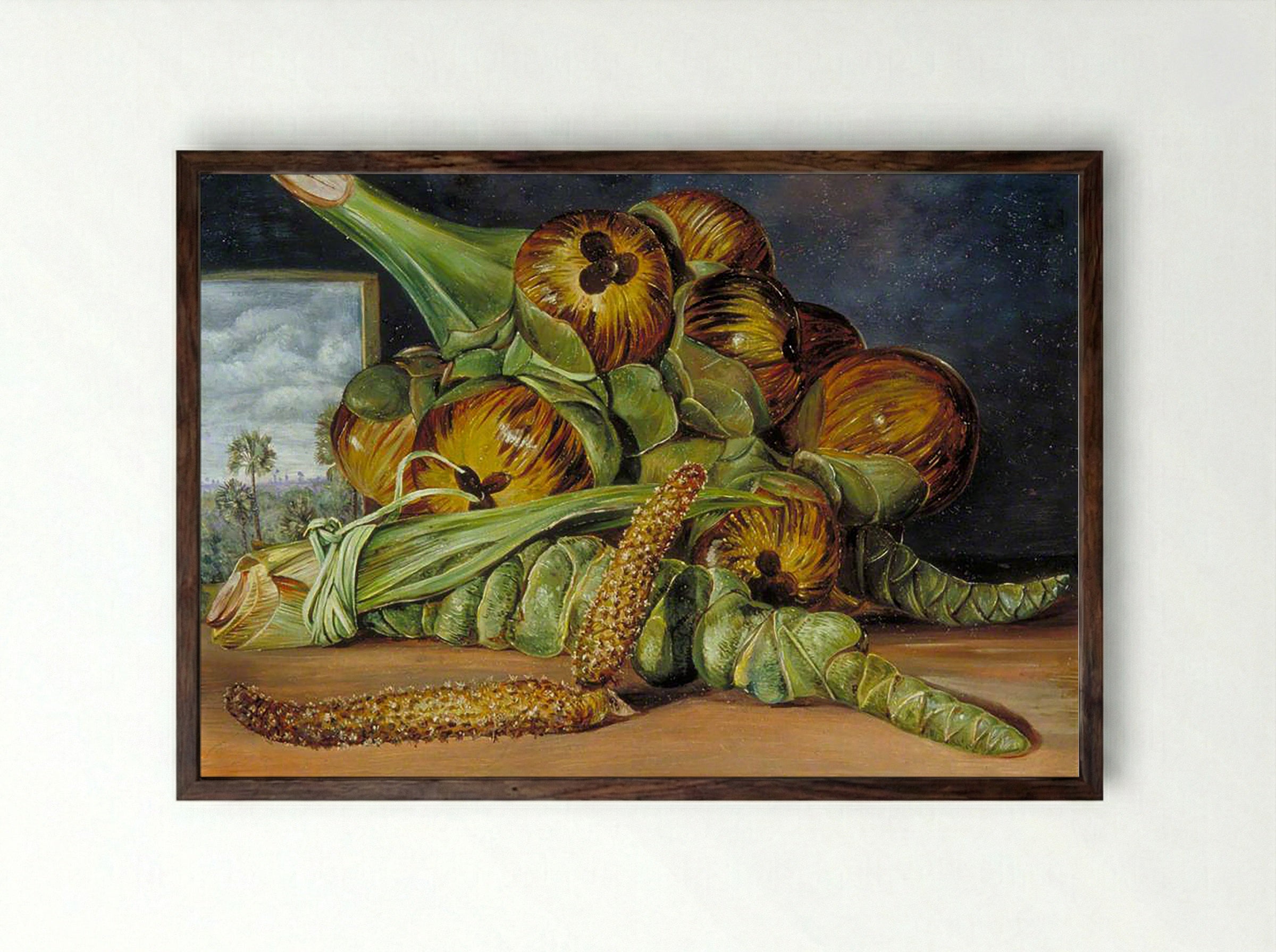 Flowers and Fruit of the Palmyra, and the Palm Seen through a Window, Java - Fine Art Print - Framed Print Dark Wood