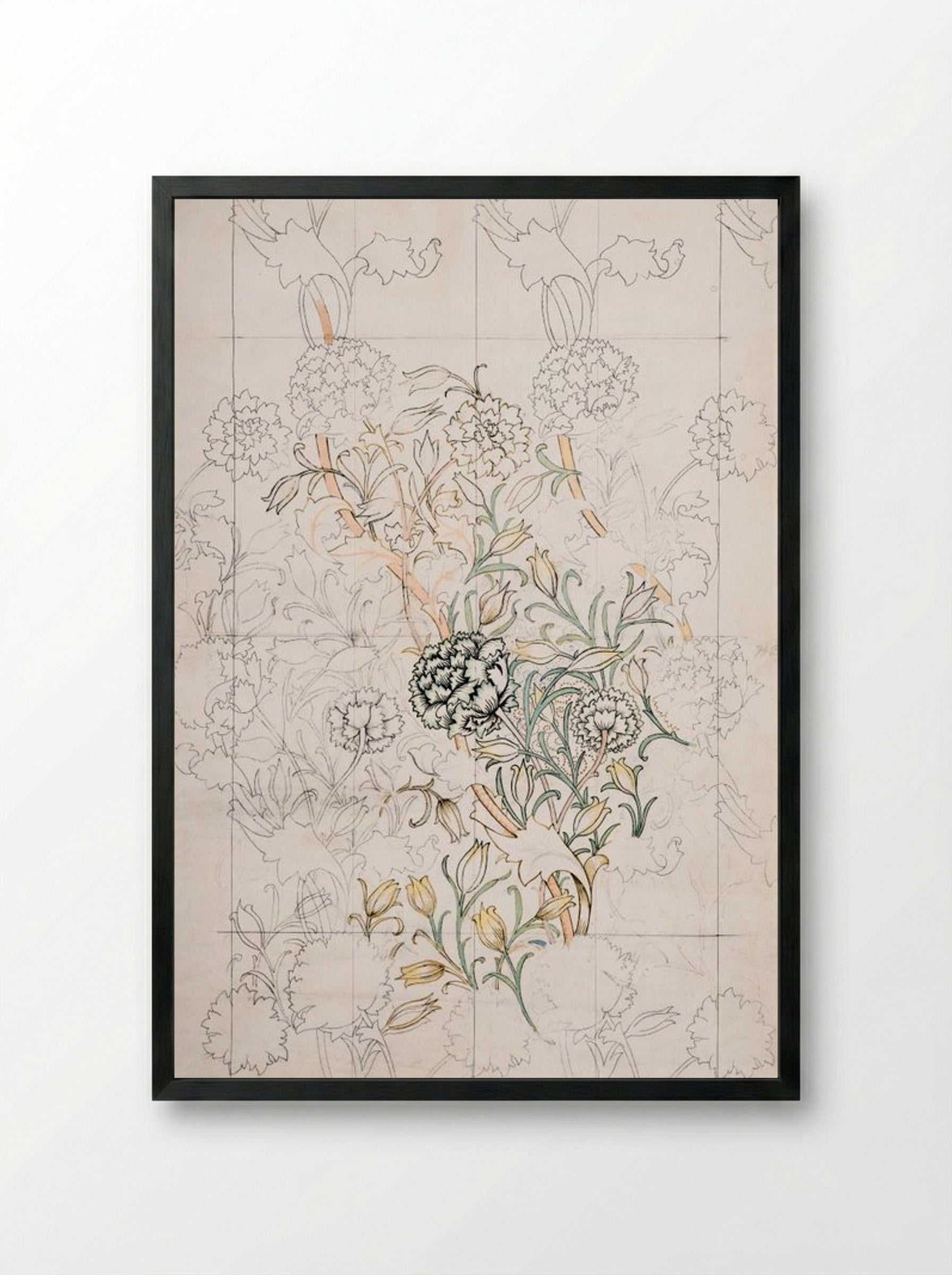 Study for 'Wild Tulip' Wallpaper - William Morris - Framed Print Black