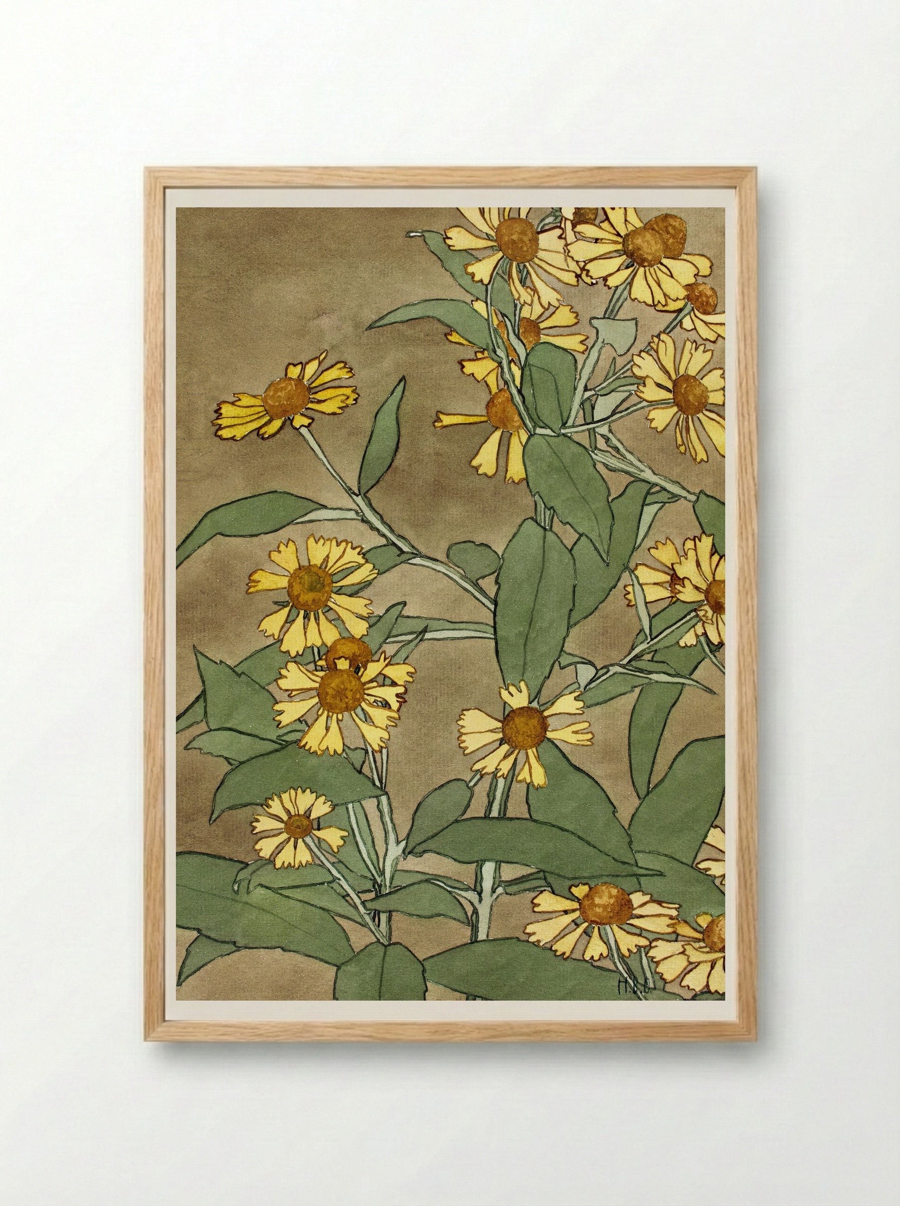 Daisies with Orange Center and Yellow Petals - Hannah Borger Overbeck - Framed Print Wood