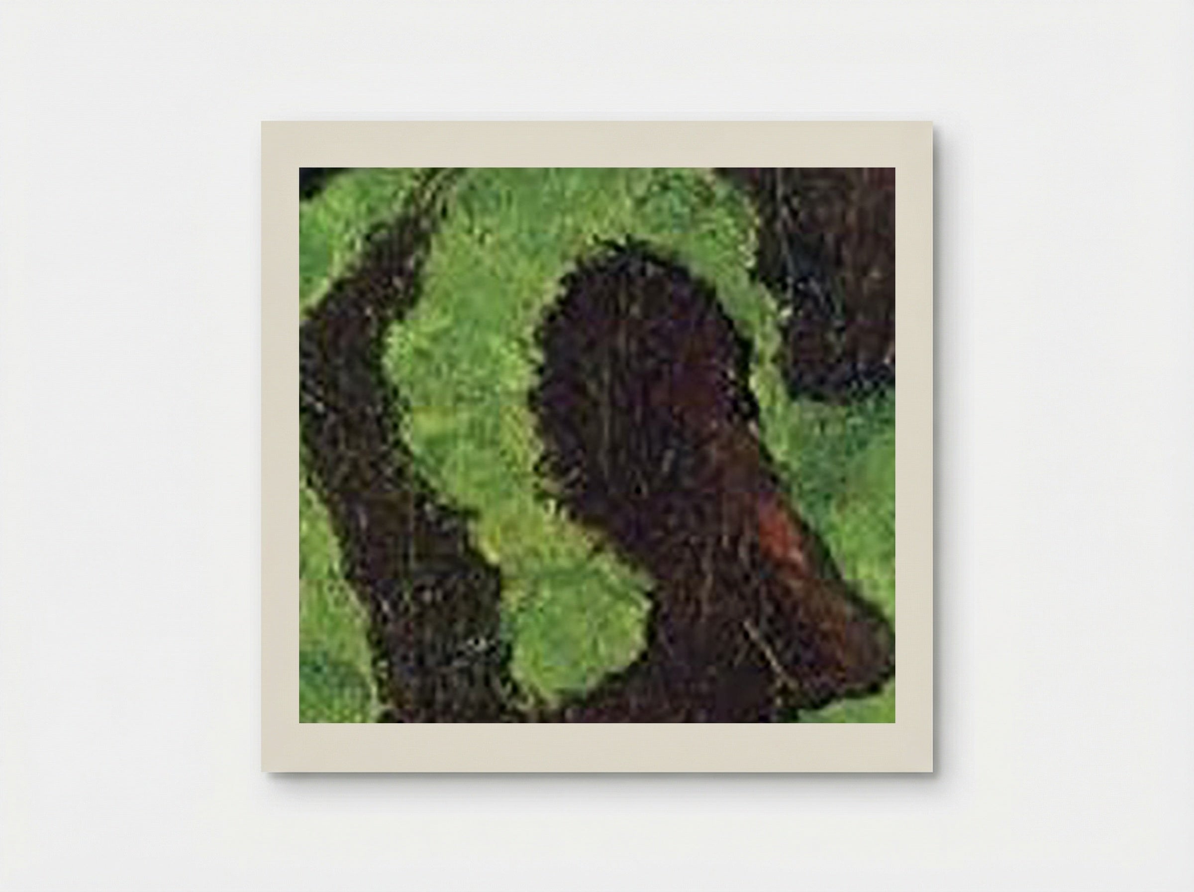 Two Poodles - Pierre Bonnard - Poster