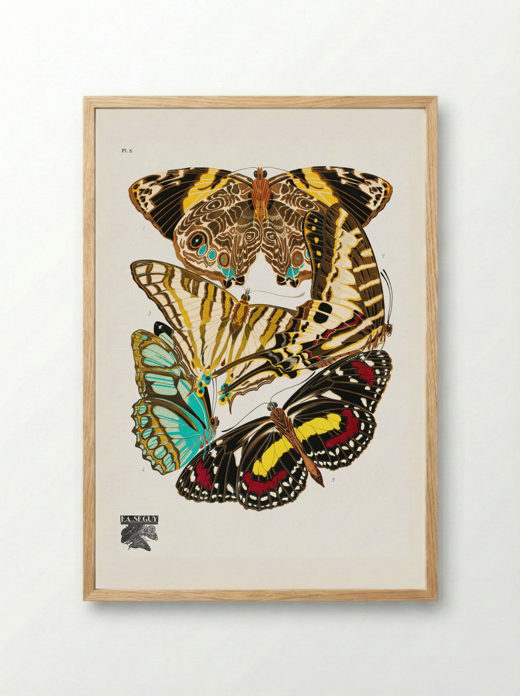 Butterflies, Plate 5 - Émile-Allain Séguy - Framed Print Wood