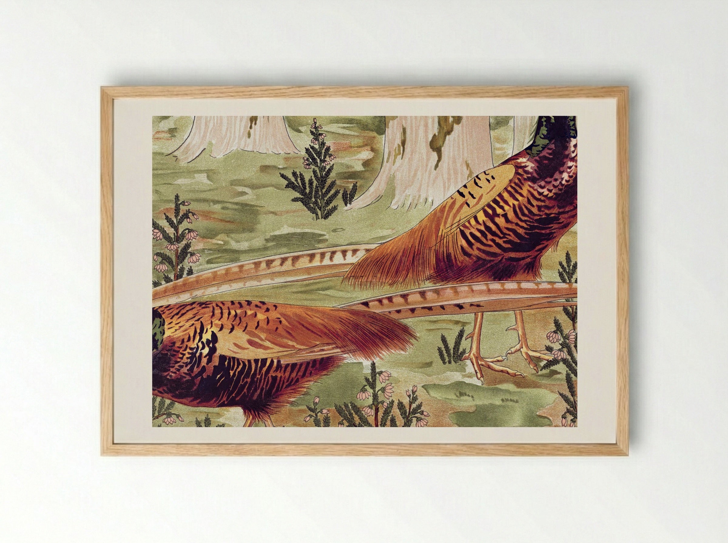 Faisans Ordinaires (Common Pheasants) - Maurice Pillard Verneuil - Framed Print Wood