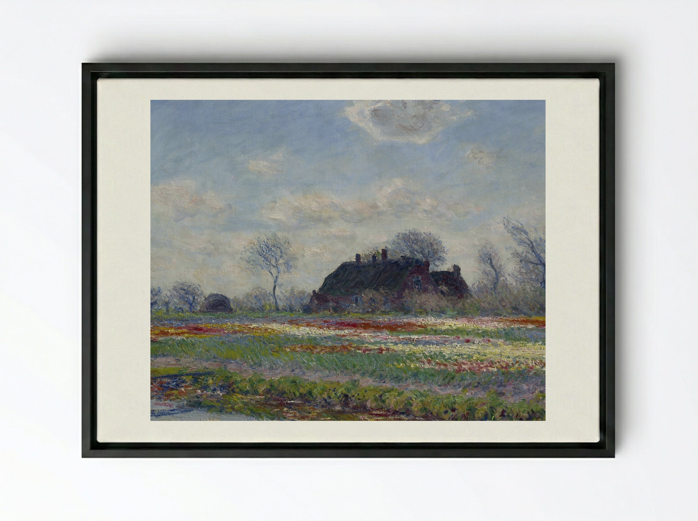 Tulip Fields at Sassenheim - Claude Monet - Framed Canvas Black