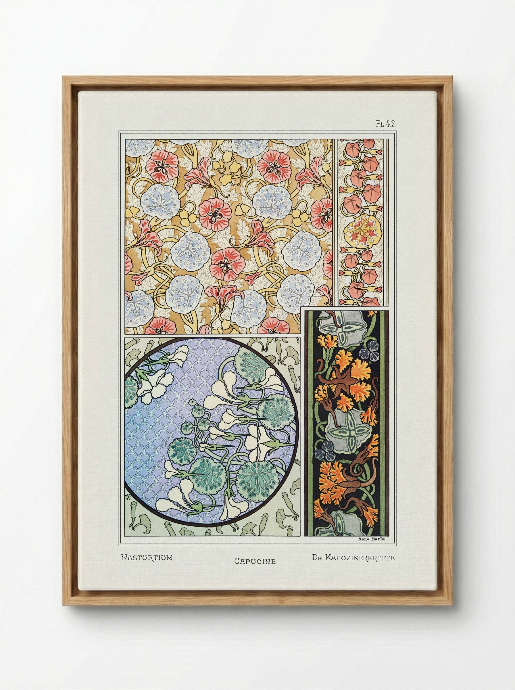 Capucine (Nasturtium) from La Plante et ses Applications ornementales - Maurice Pillard Verneuil - Framed Canvas Wood