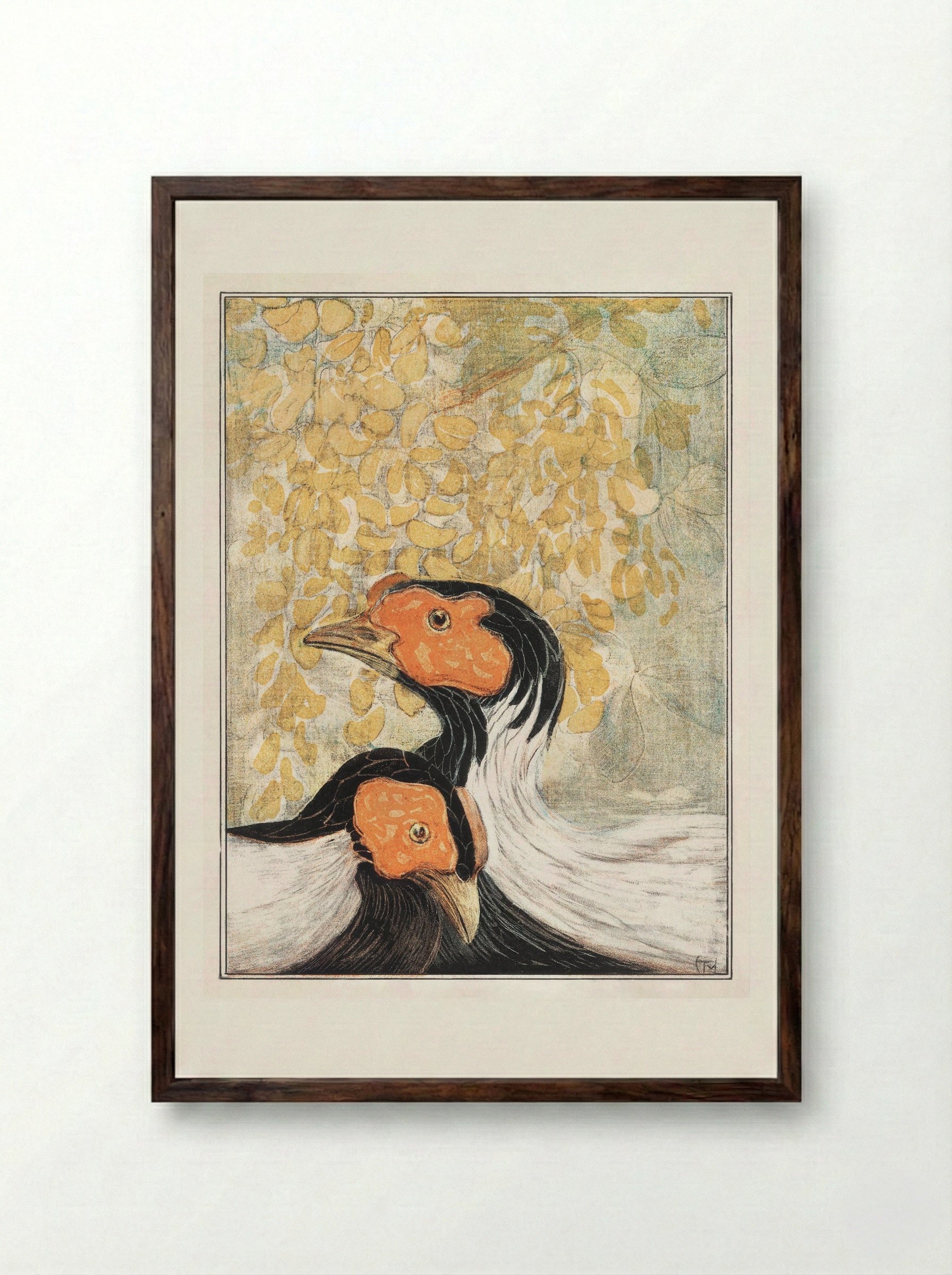 Two Silver Pheasants - Theo van Hoytema - Framed Print Dark Wood