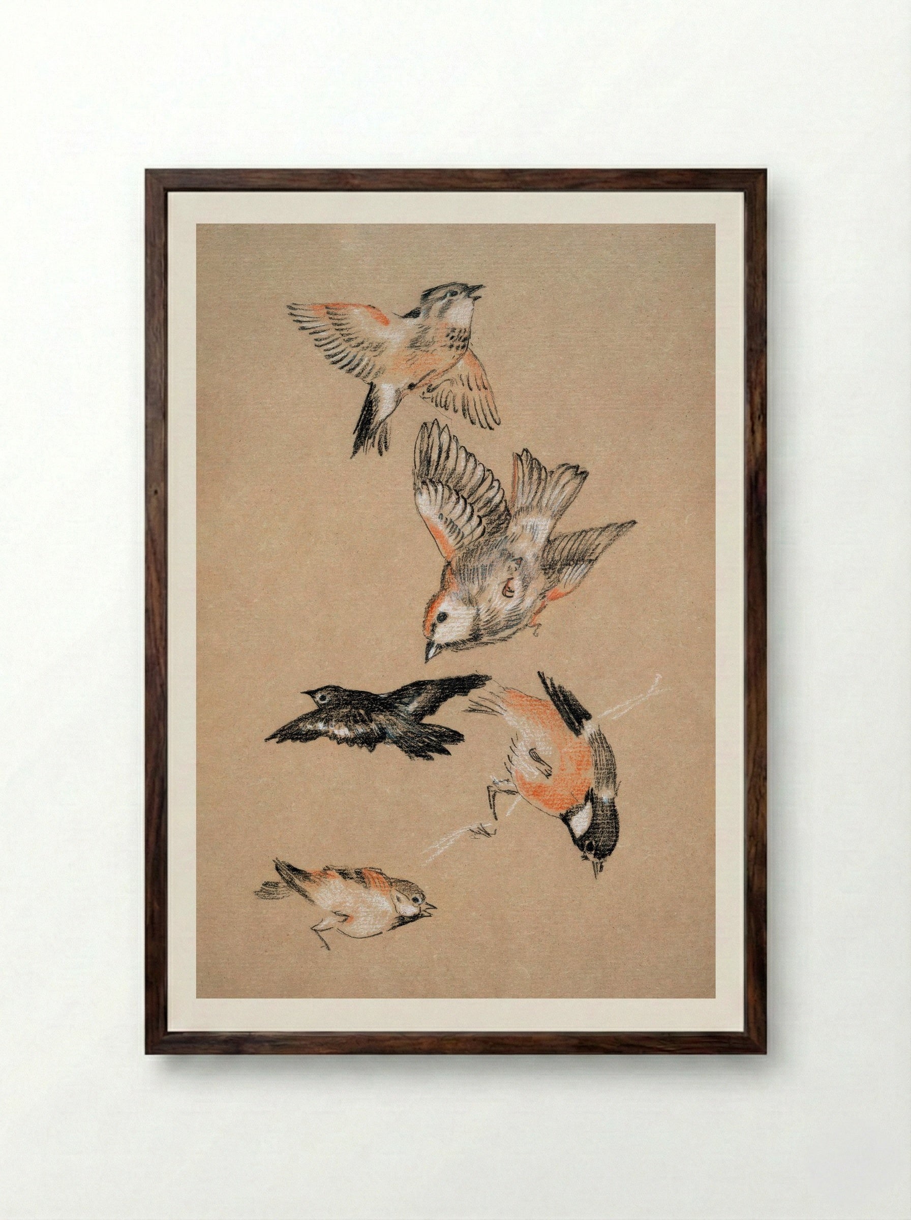 Study of Finches (for 'Love Leading the Pilgrim') - Edward Burne-Jones - Framed Print Dark Wood