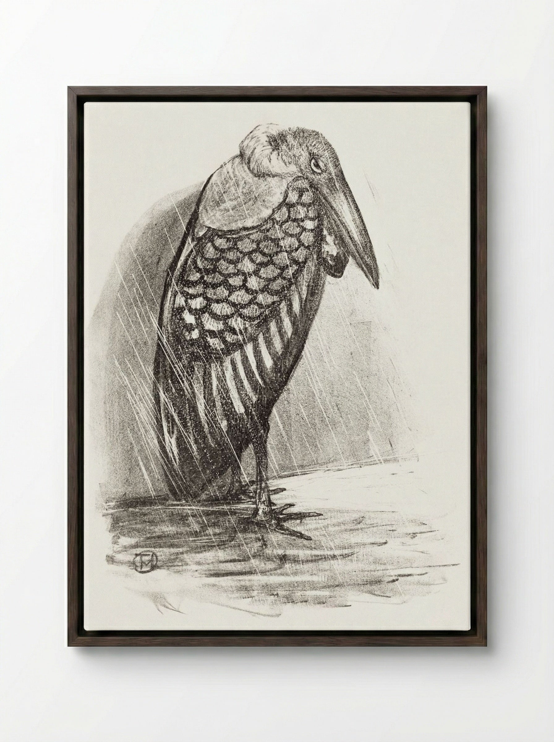 Marabou in the Rain - Theo van Hoytema - Framed Canvas Dark Wood