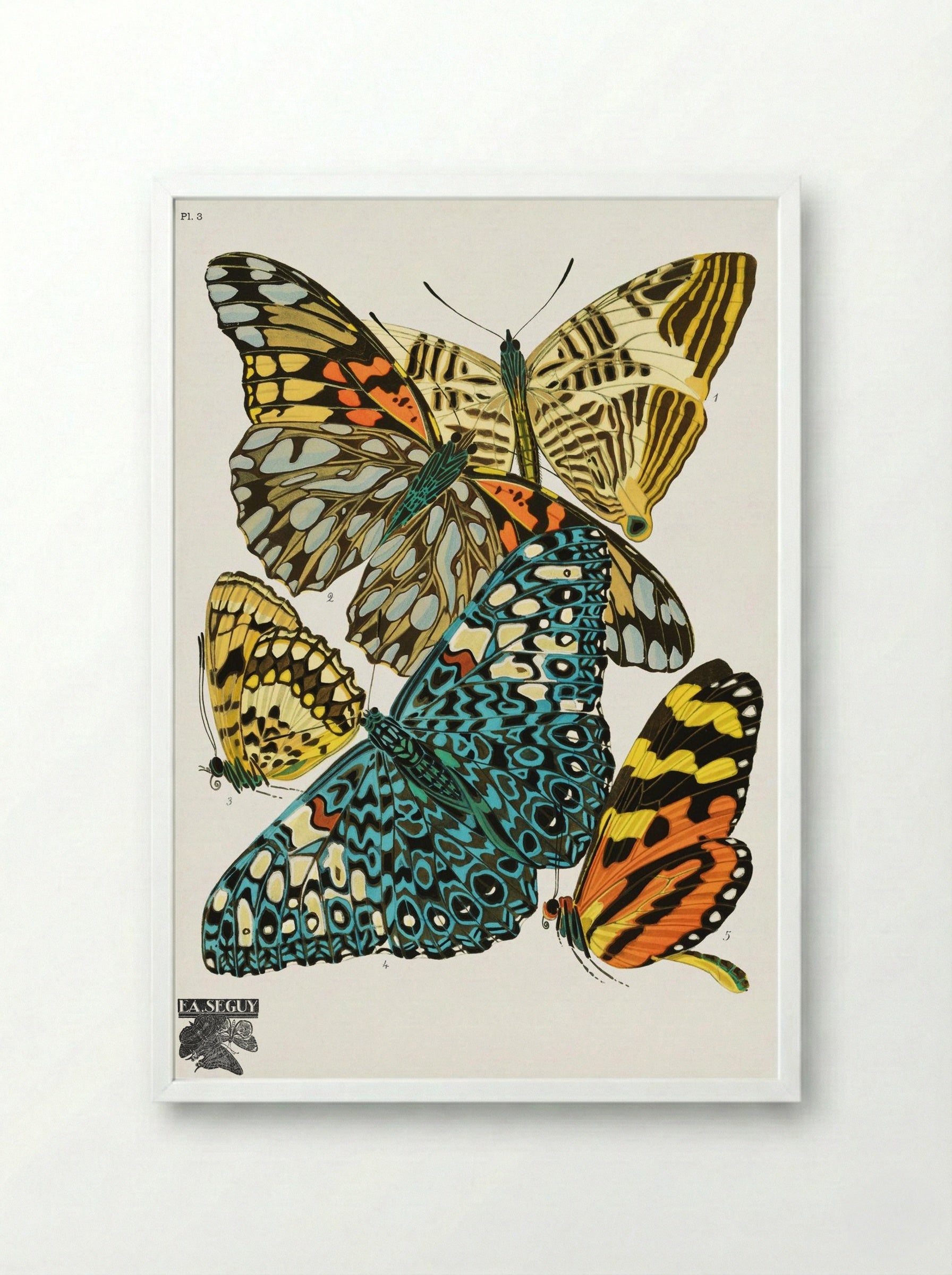 Butterflies, Plate 3 - Émile-Allain Séguy - Framed Print White