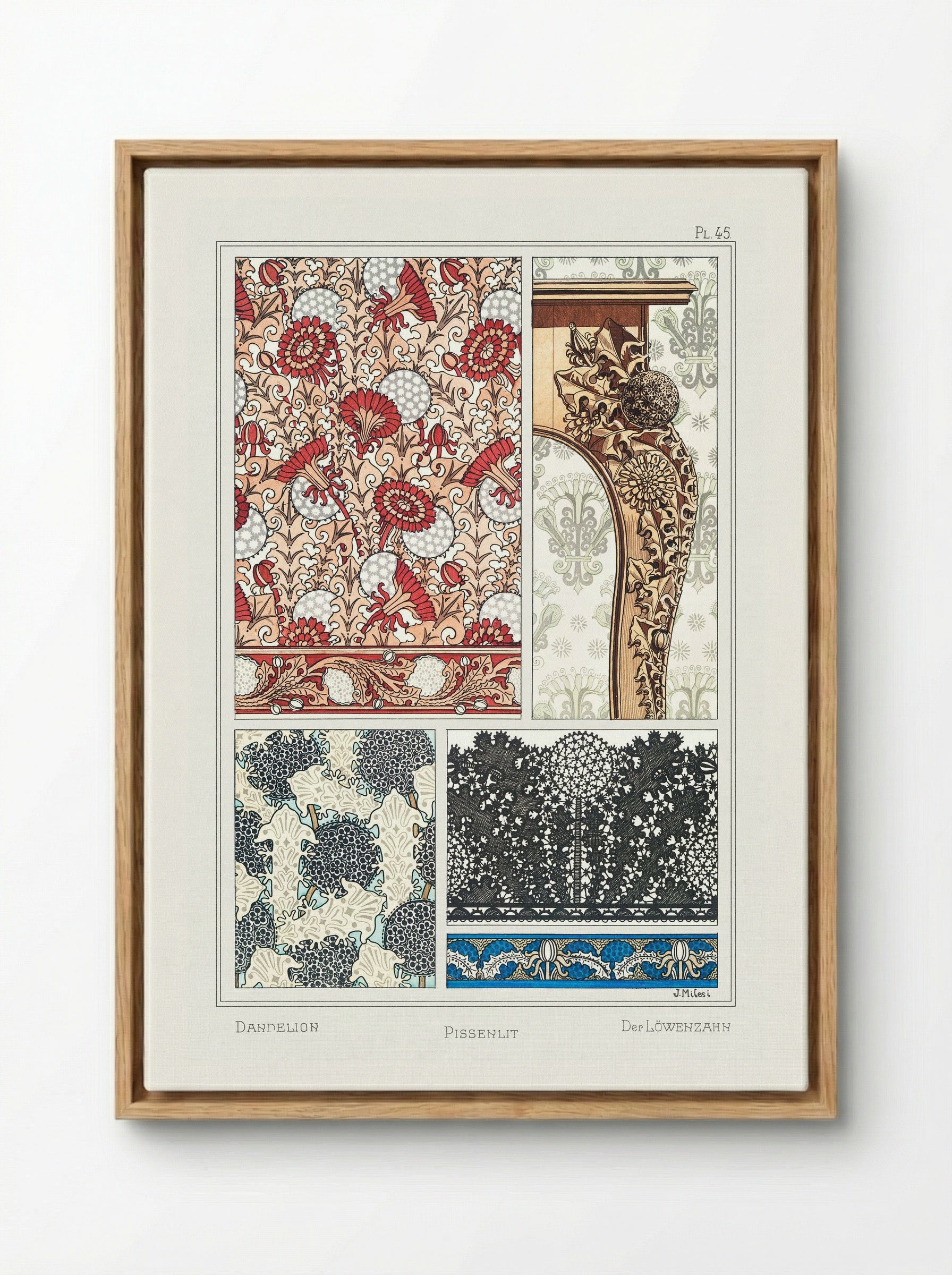 Pissenlit (Dandelion) from La Plante et ses Applications ornementales - Maurice Pillard Verneuil - Framed Canvas Wood