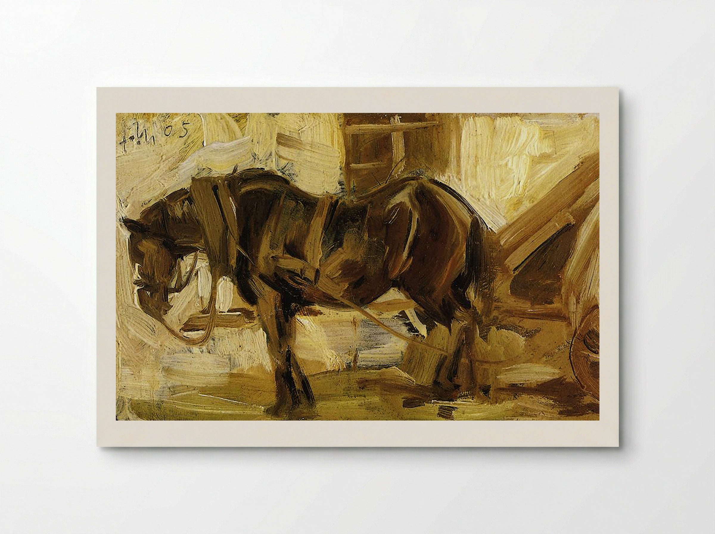 Study of a Horse - Fine Art Print - Poster