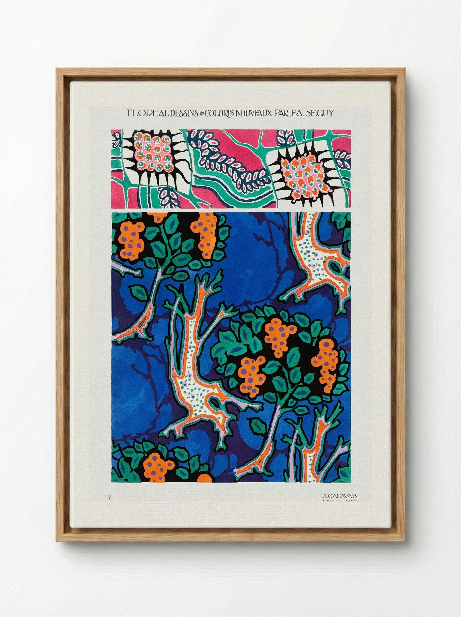 Floral Designs and Colour Schemes (Plate 4) - Émile-Allain Séguy - Framed Canvas Wood