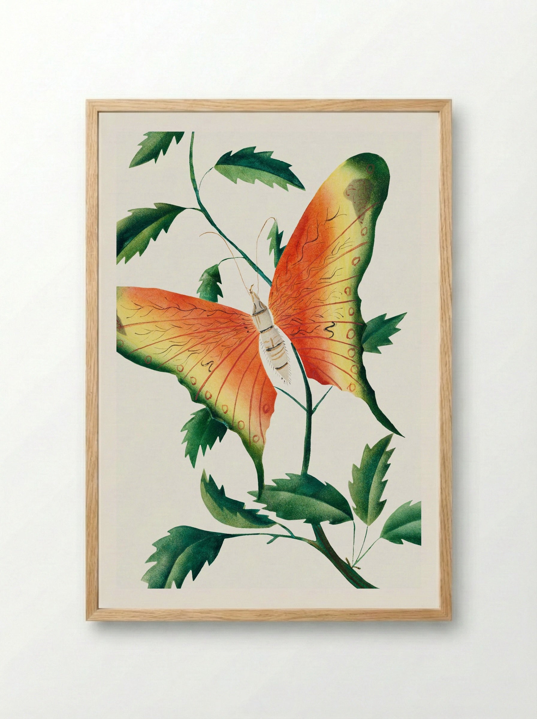 Rose Bush and Butterfly - Mary Altha Nims - Framed Print Wood