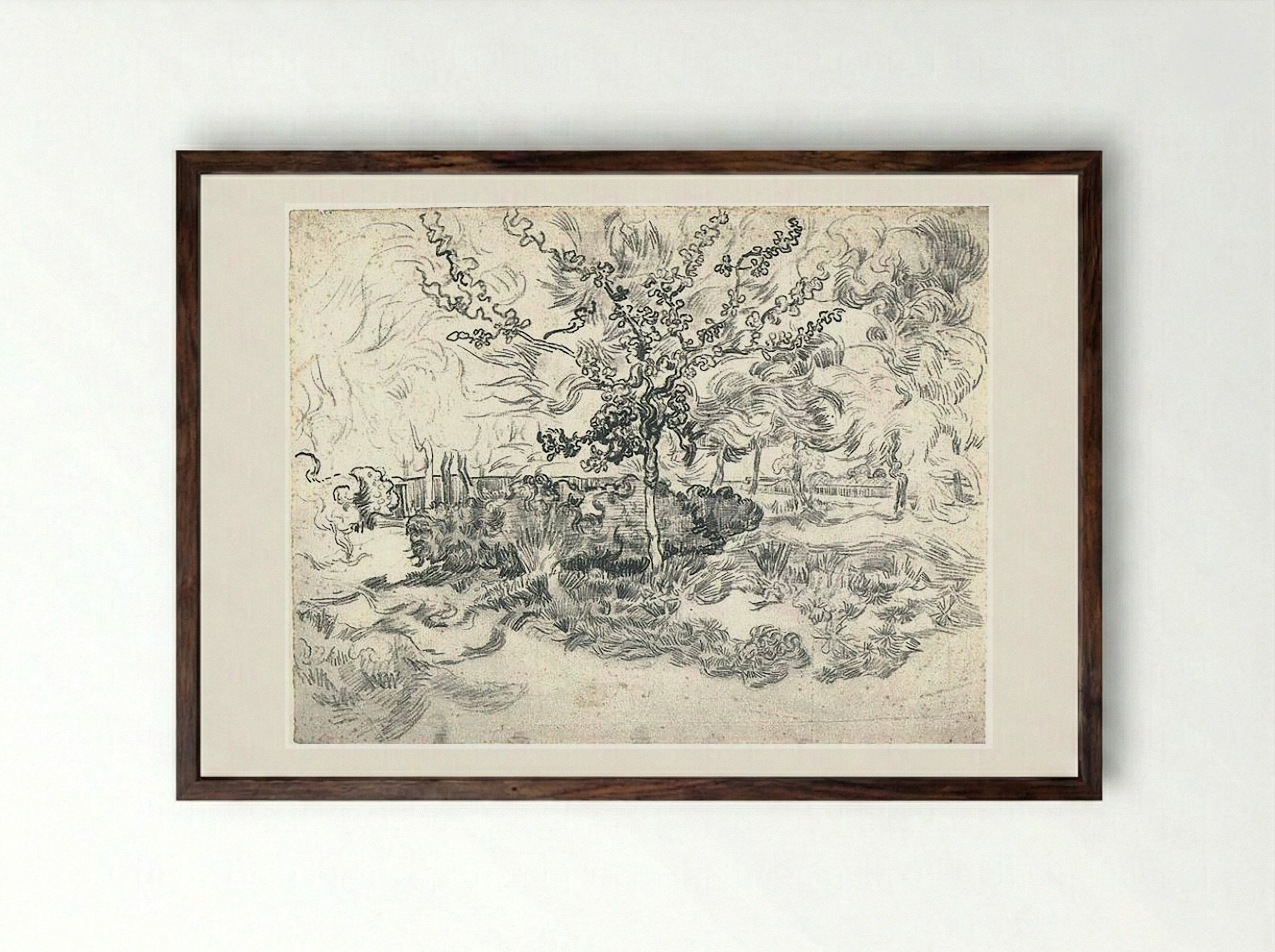 The Garden of the Asylum - Vincent van Gogh - Framed Print Dark Wood