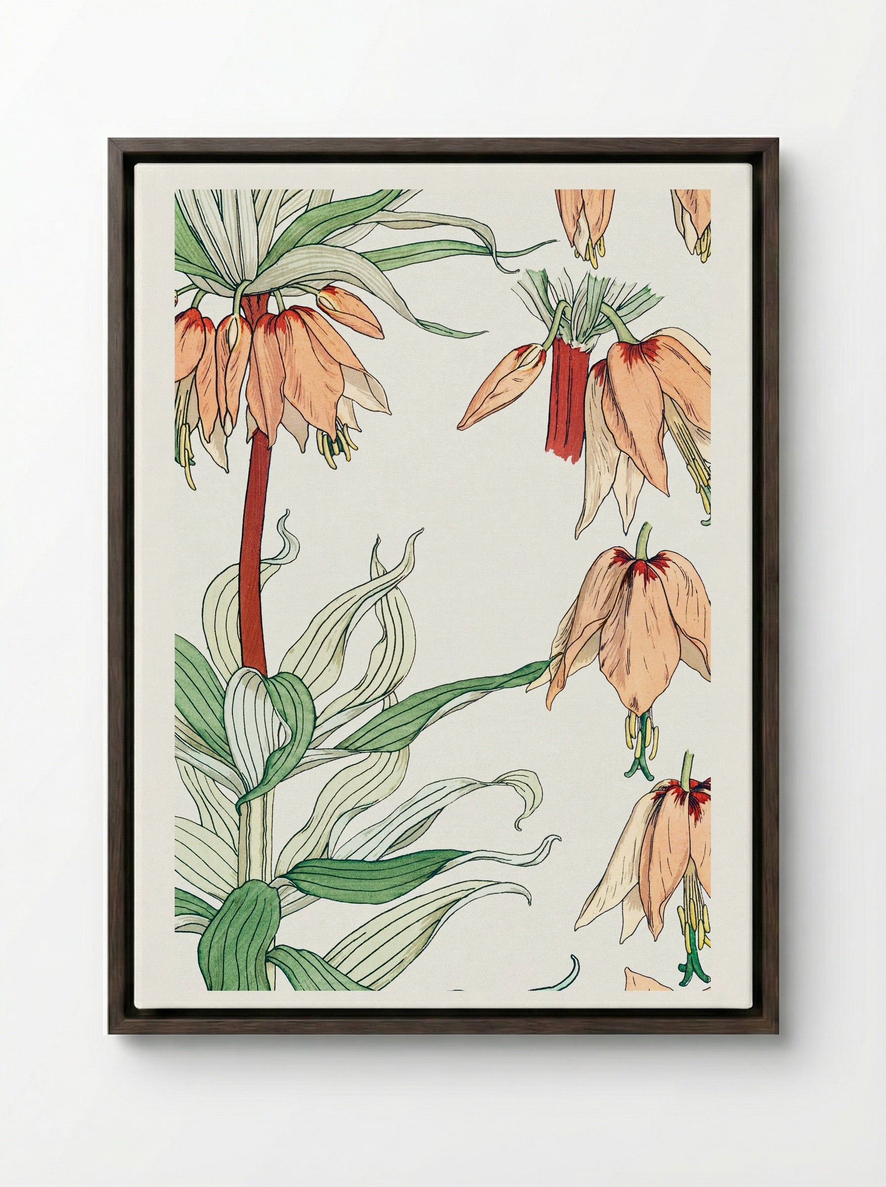 Couronne Impériale (Crown Imperial) - Maurice Pillard Verneuil - Framed Canvas Dark Wood