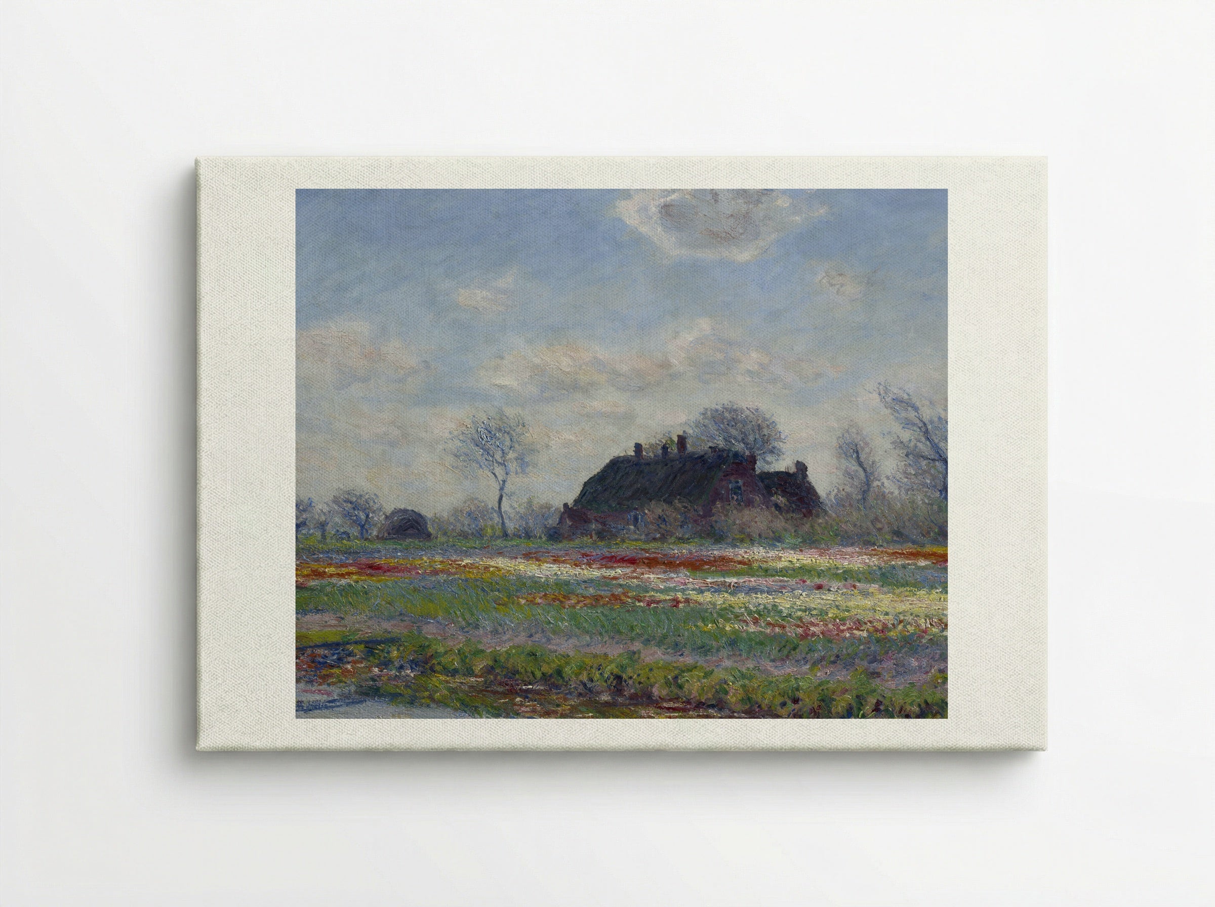 Tulip Fields at Sassenheim - Claude Monet - Canvas