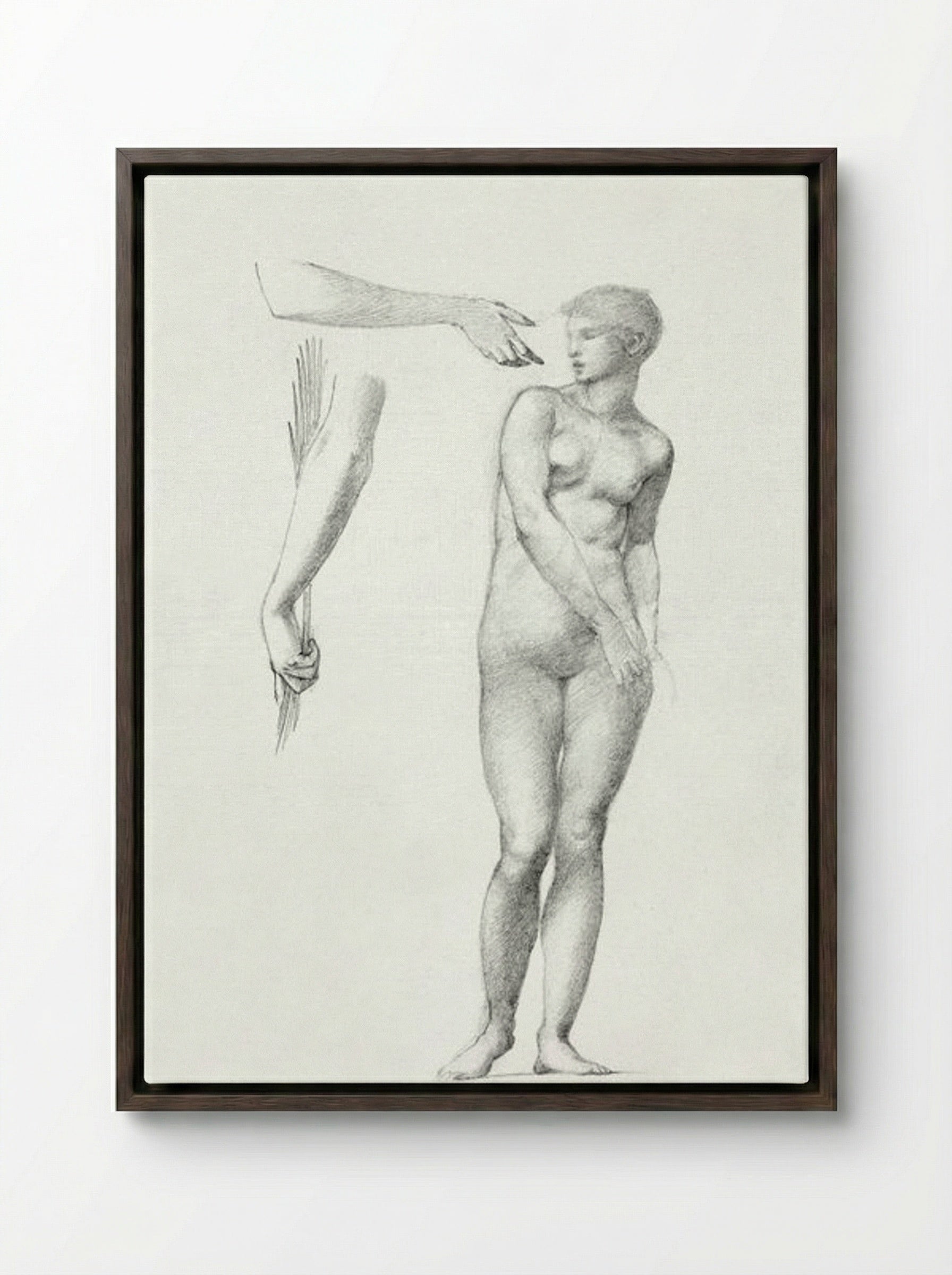 Standing Female Nude and Sketches of Arms - Edward Burne-Jones - Framed Canvas Dark Wood