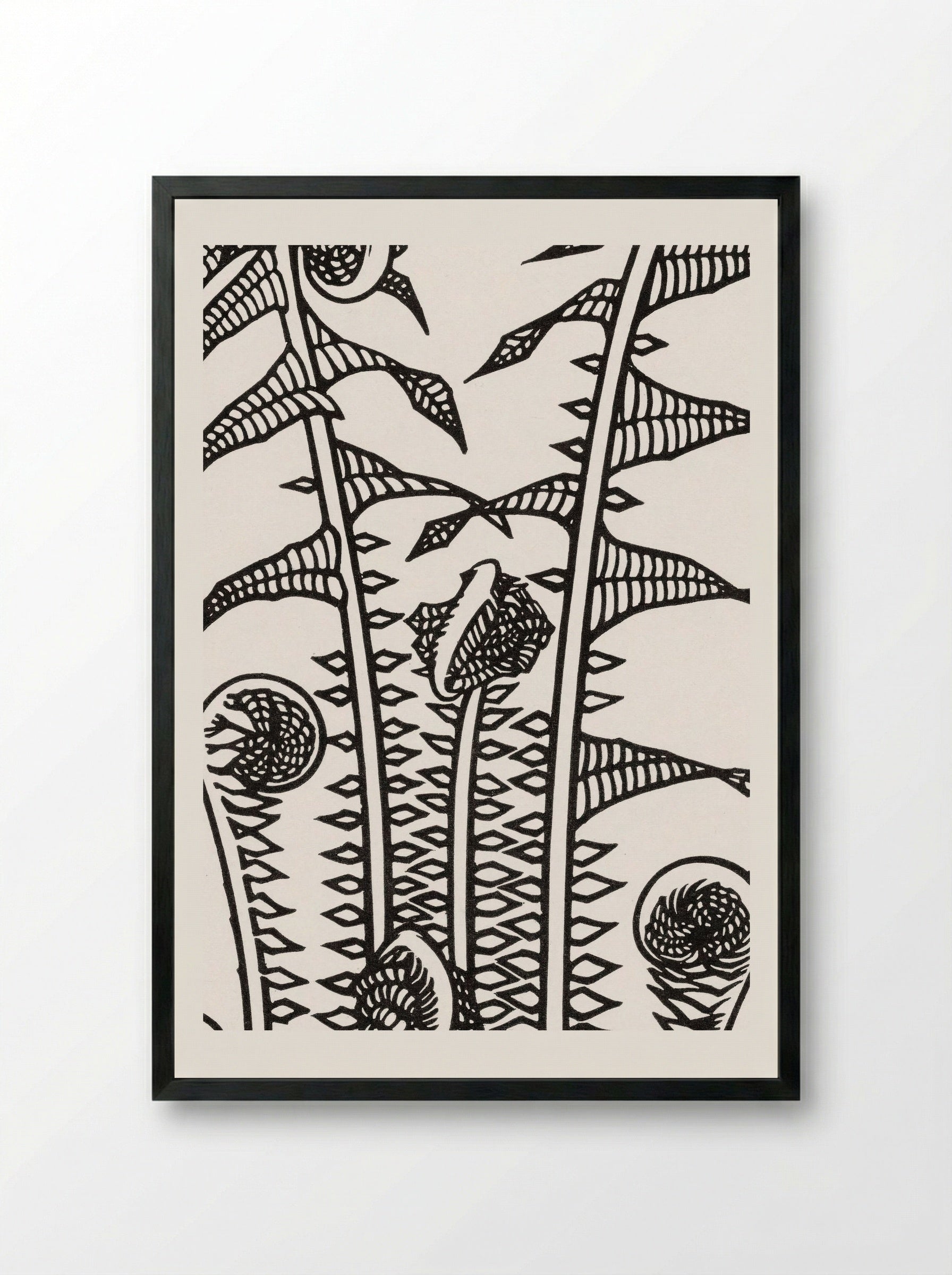 Ferns - Julie de Graag - Framed Print Black