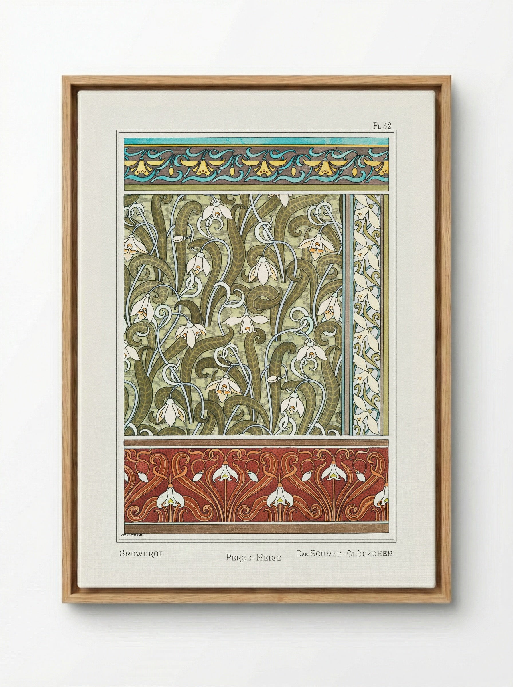 Perce-neige (Snowdrops) from La Plante et ses Applications ornementales - Maurice Pillard Verneuil - Framed Canvas Wood