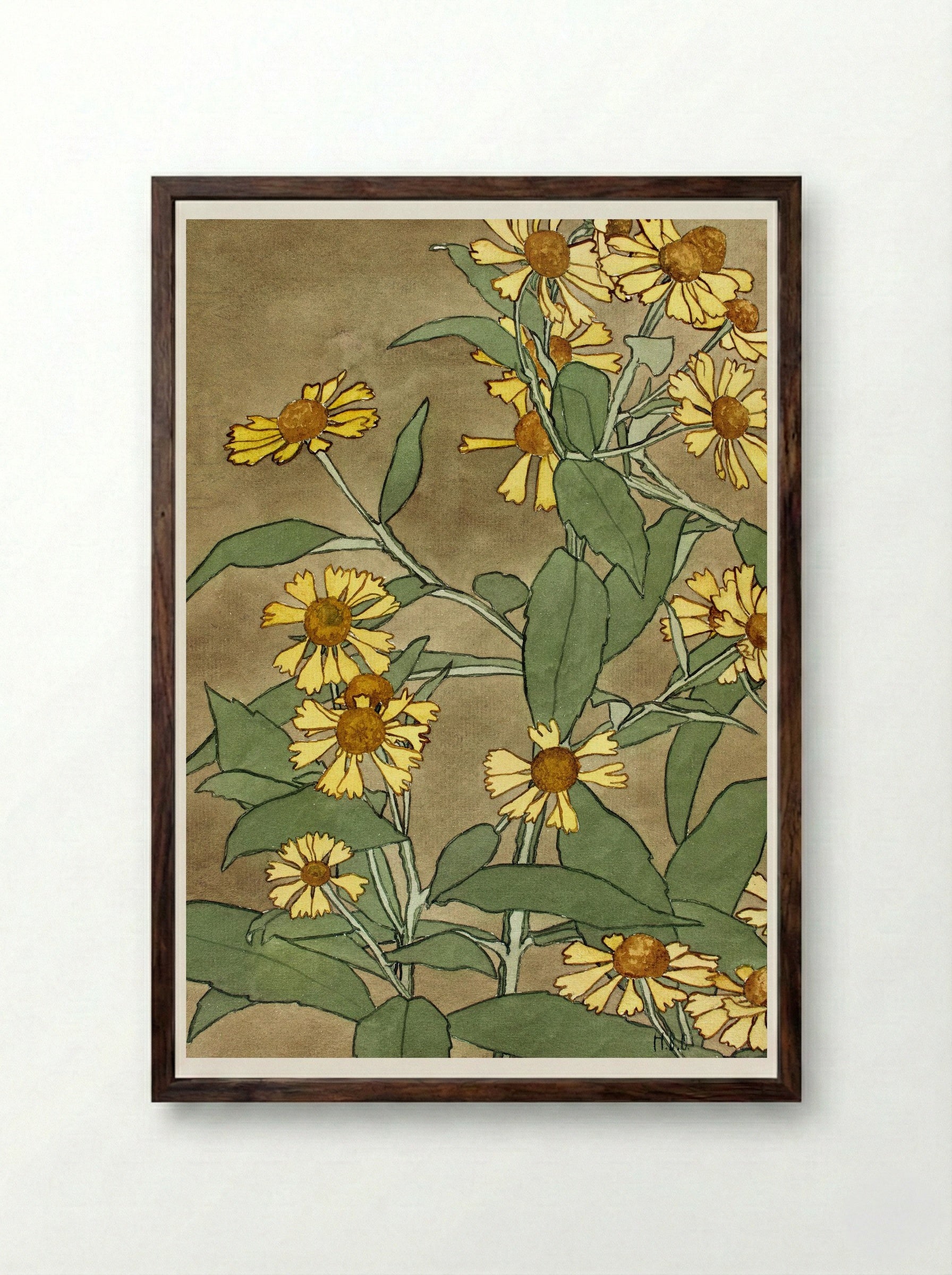 Daisies with Orange Center and Yellow Petals - Hannah Borger Overbeck - Framed Print Dark Wood