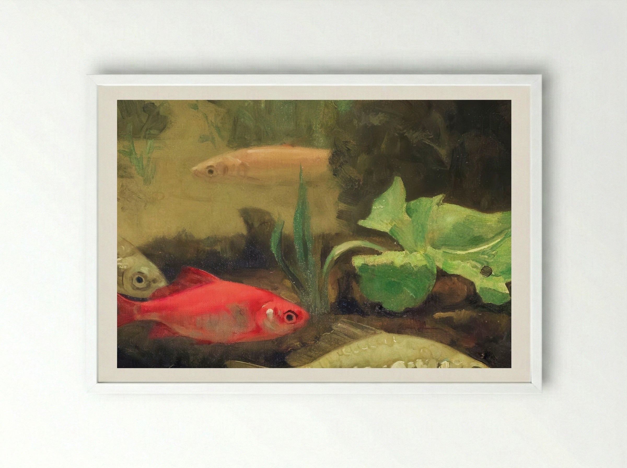 Gold and Silverfish in an Aquarium - Gerrit Willem Dijsselhof - Framed Print White