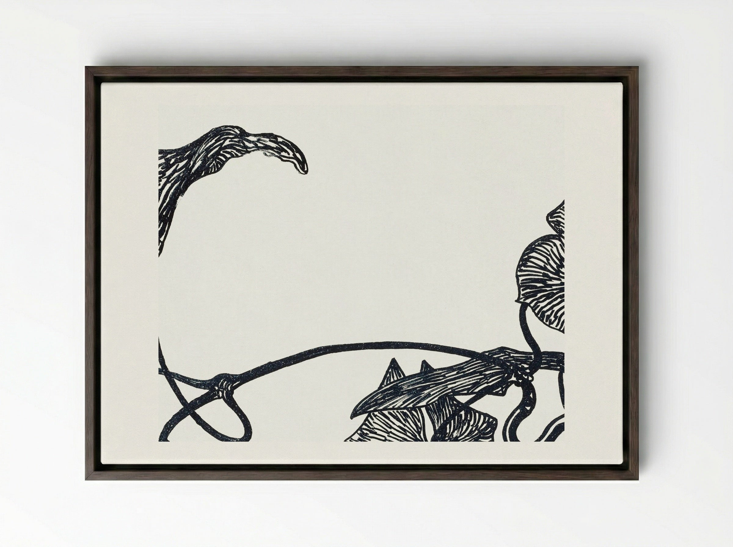 Augurkenplant (Cucumber Plant) - Theo van Hoytema - Framed Canvas Dark Wood