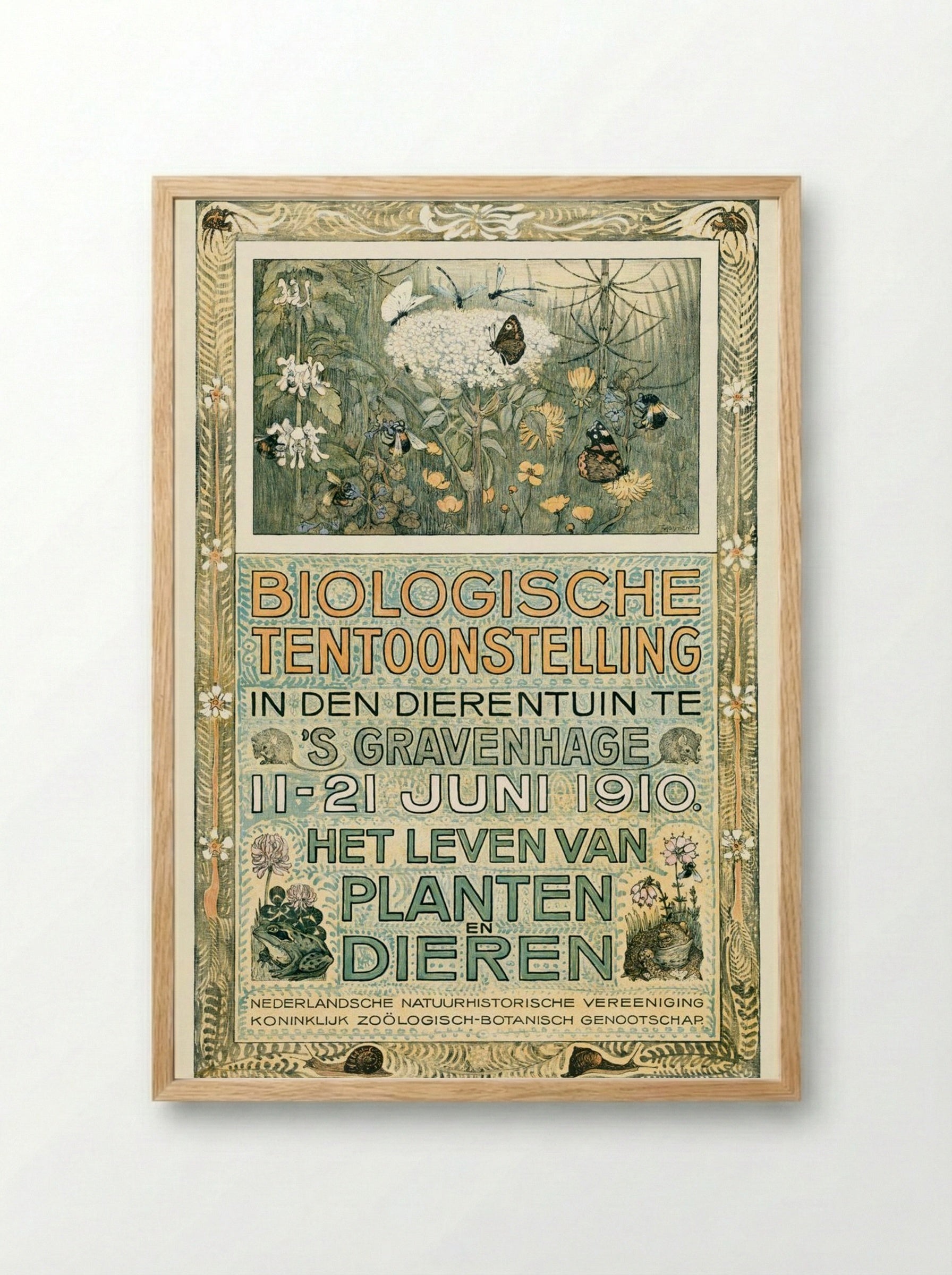 Poster of the Biologische Tentoonstelling (Biological Exhibition) - Theo van Hoytema - Framed Print Wood