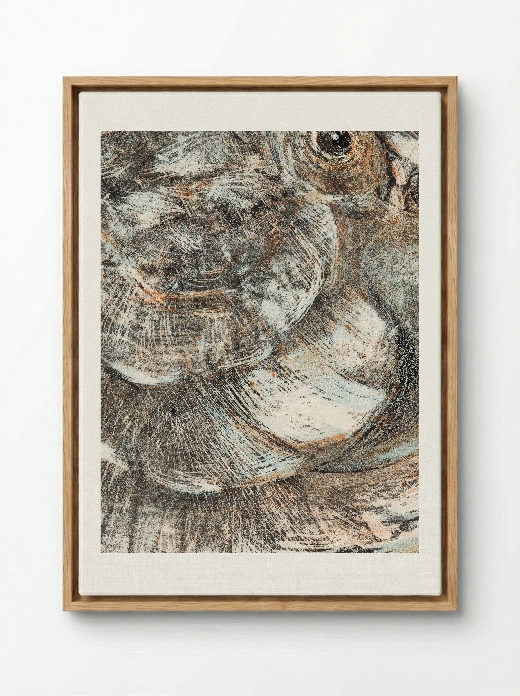 Head of a Parrot - Theo van Hoytema - Framed Canvas Wood