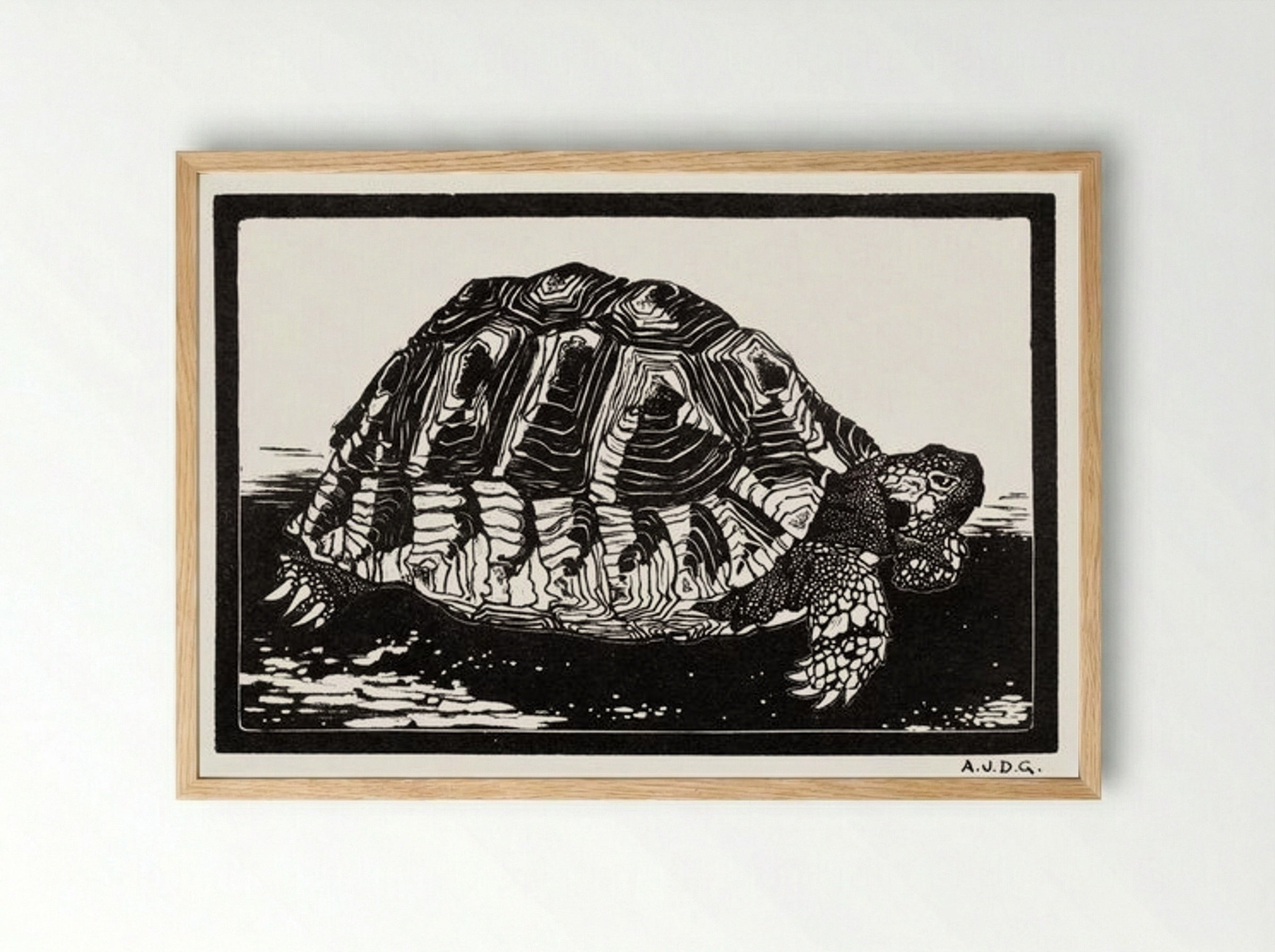 Turtle - Julie de Graag - Framed Print Wood