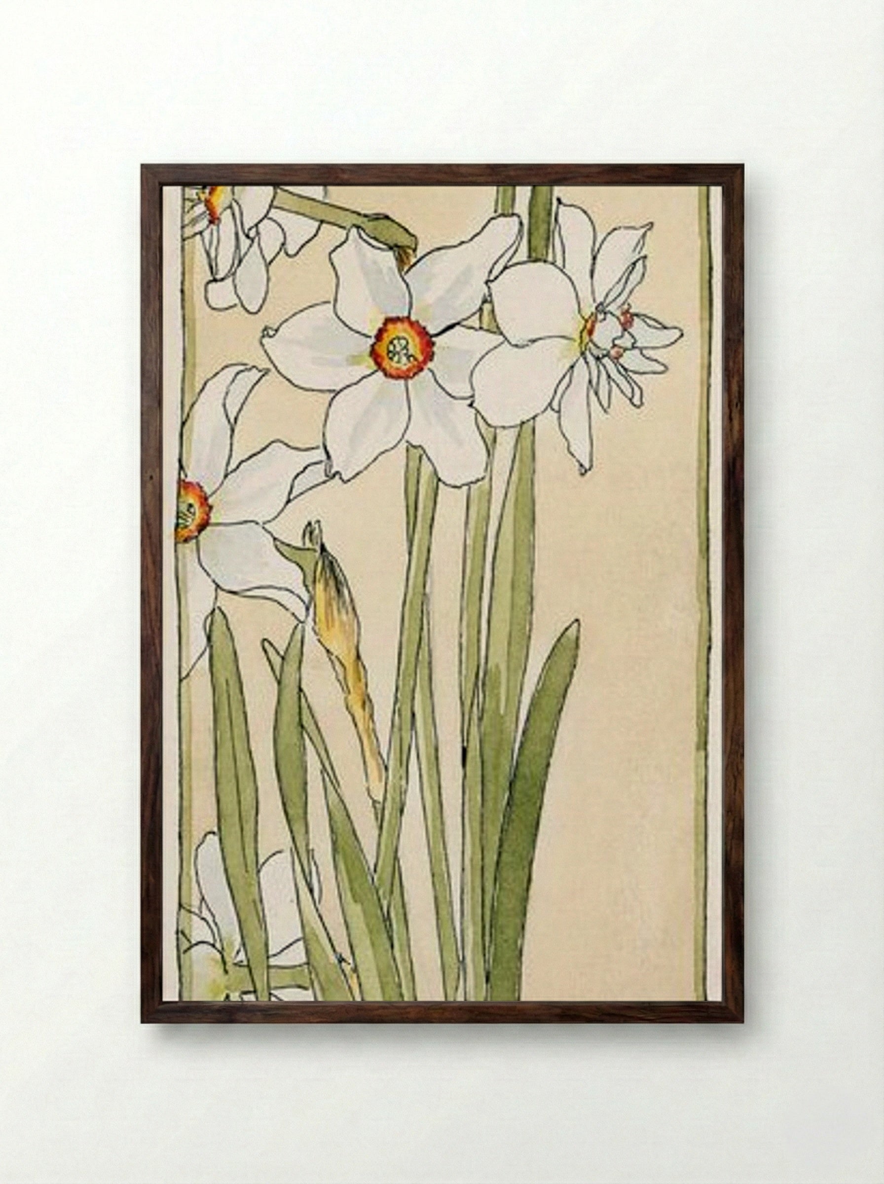 Poet's Narcissus - Hannah Borger Overbeck - Framed Print Dark Wood