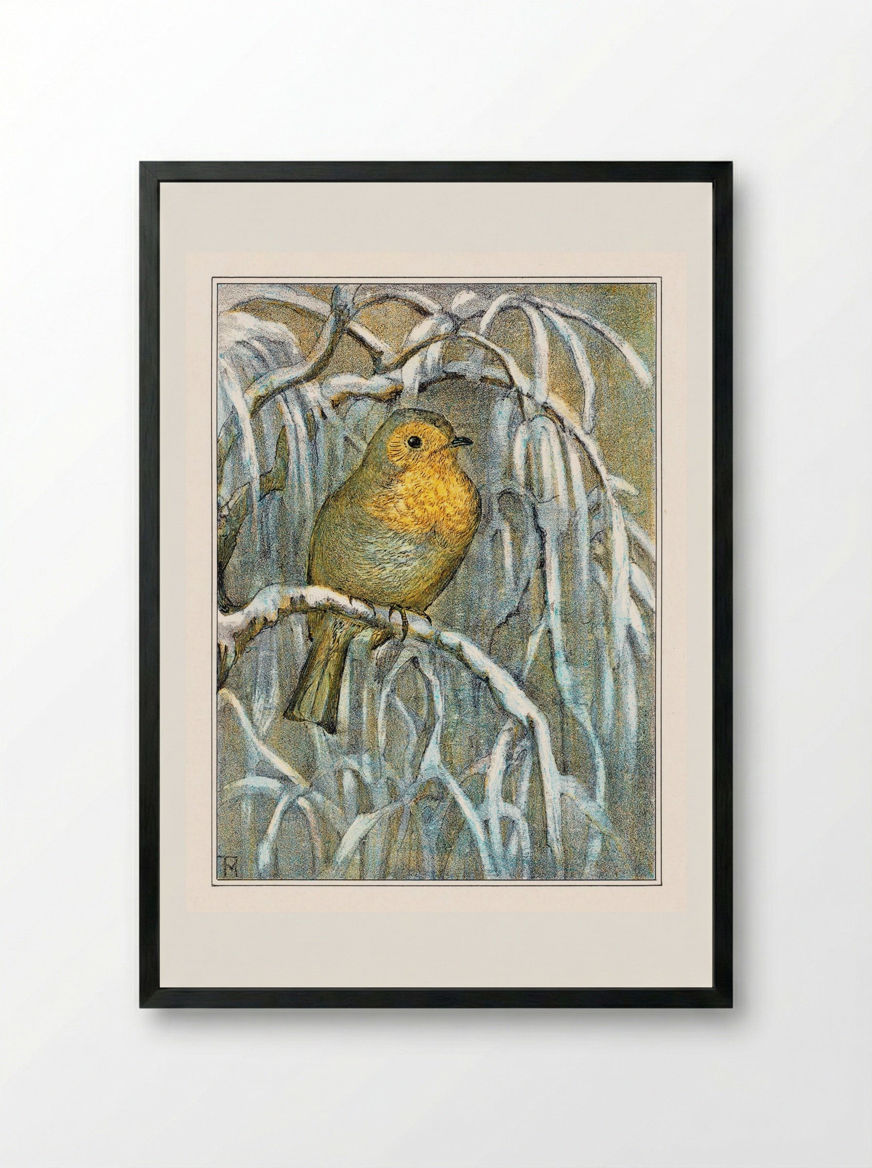 Robin on Snowy Branch - Theo van Hoytema - Framed Print Black