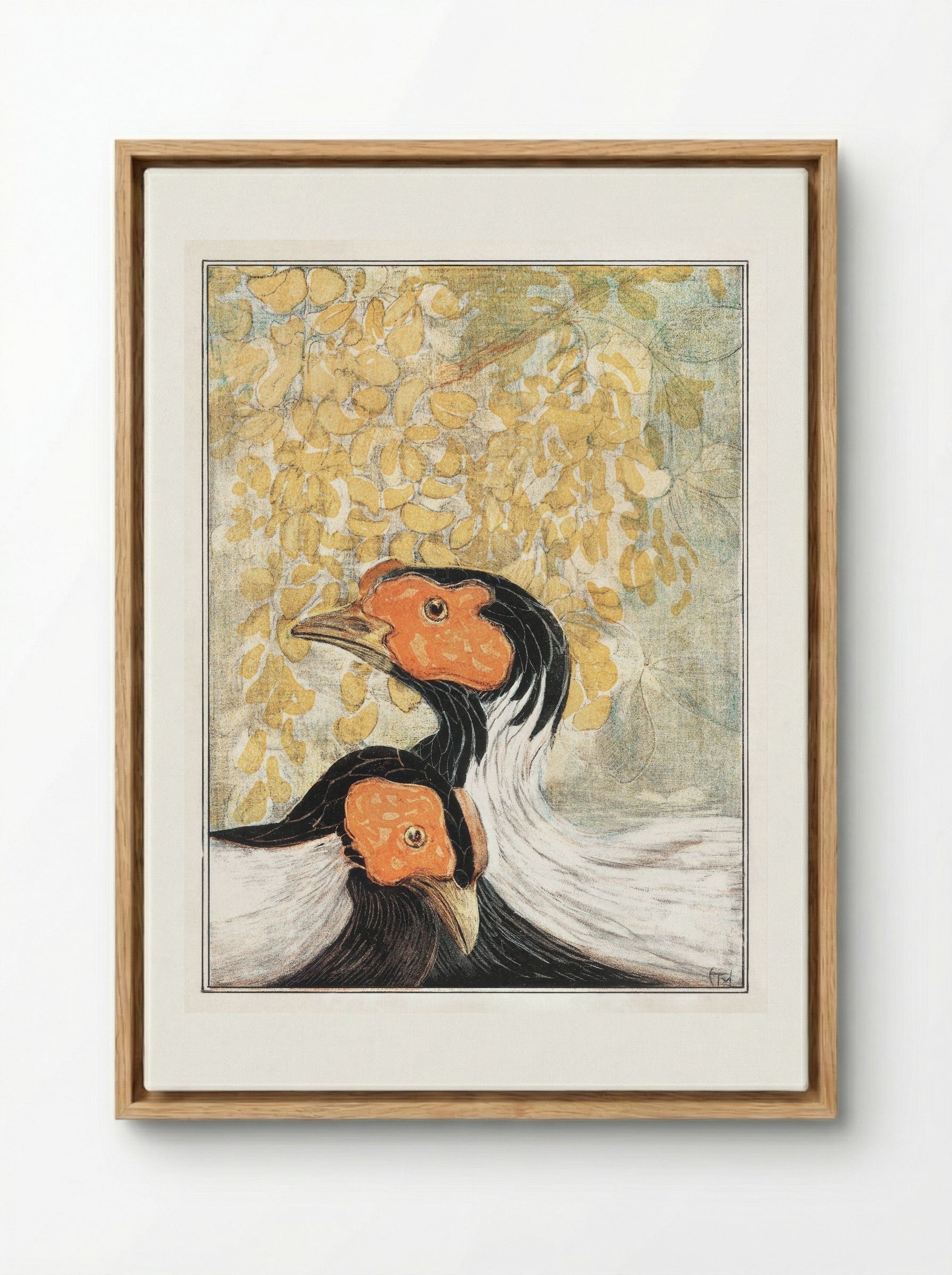 Two Silver Pheasants - Theo van Hoytema - Framed Canvas Wood
