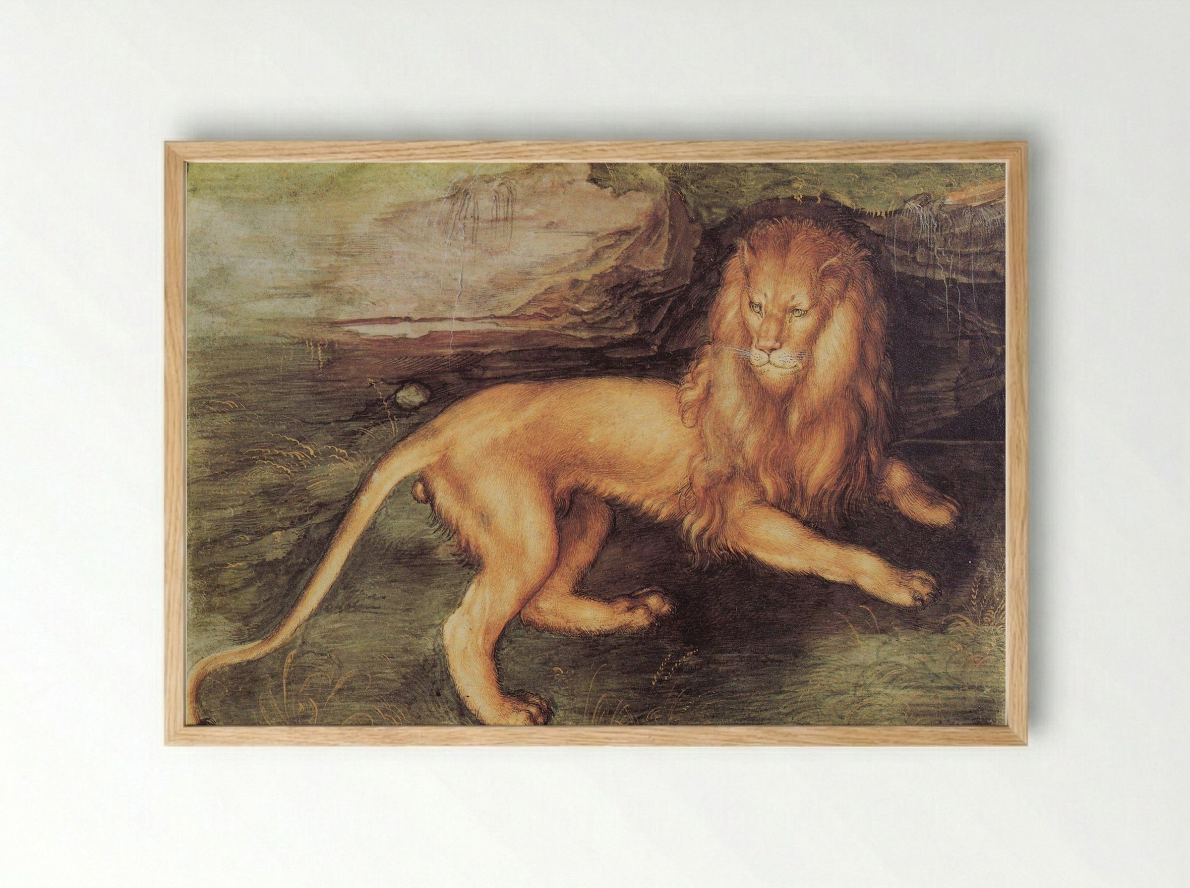 Study of a Lion - Leonardo da Vinci - Framed Print Wood