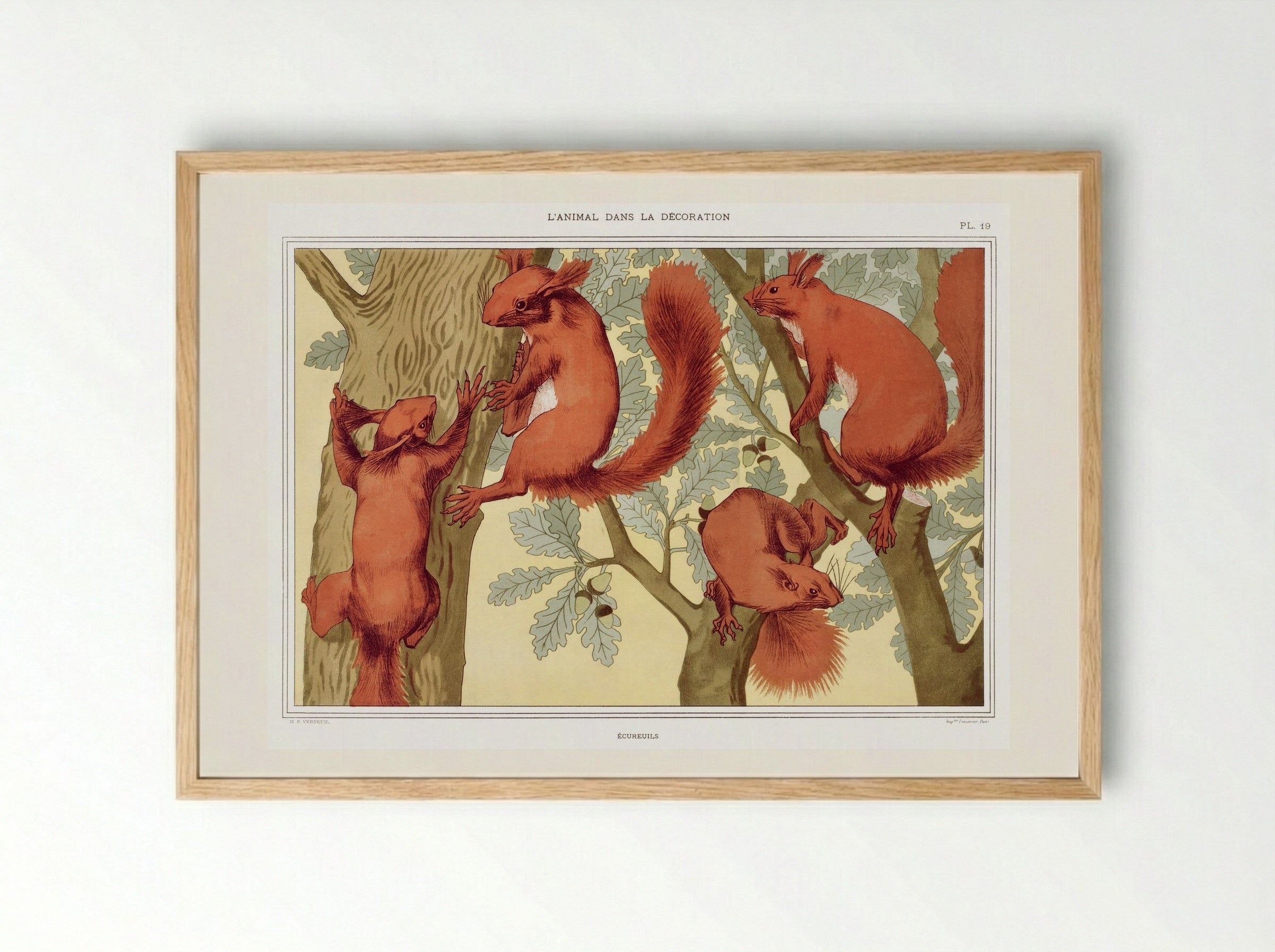 Écureuils (Squirrels) from L'animal dans la décoration - Maurice Pillard Verneuil - Framed Print Wood