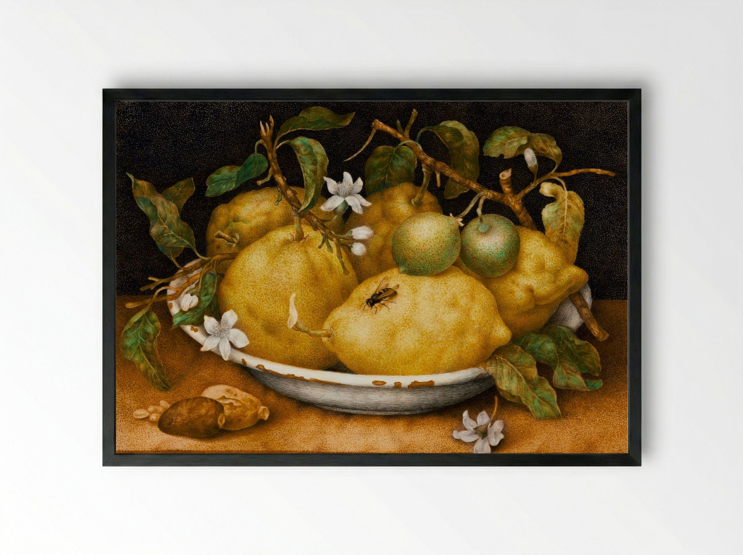 Still Life with Bowl of Citrons - Giovanna Garzoni - Framed Print Black