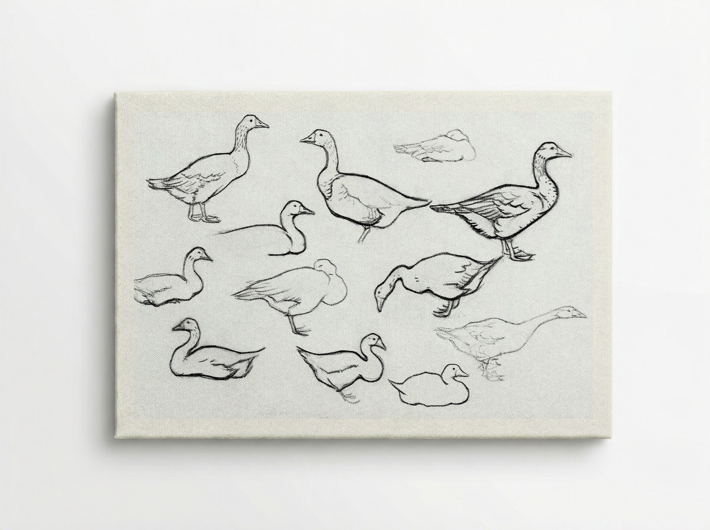 Study of Geese - Julie de Graag - Canvas