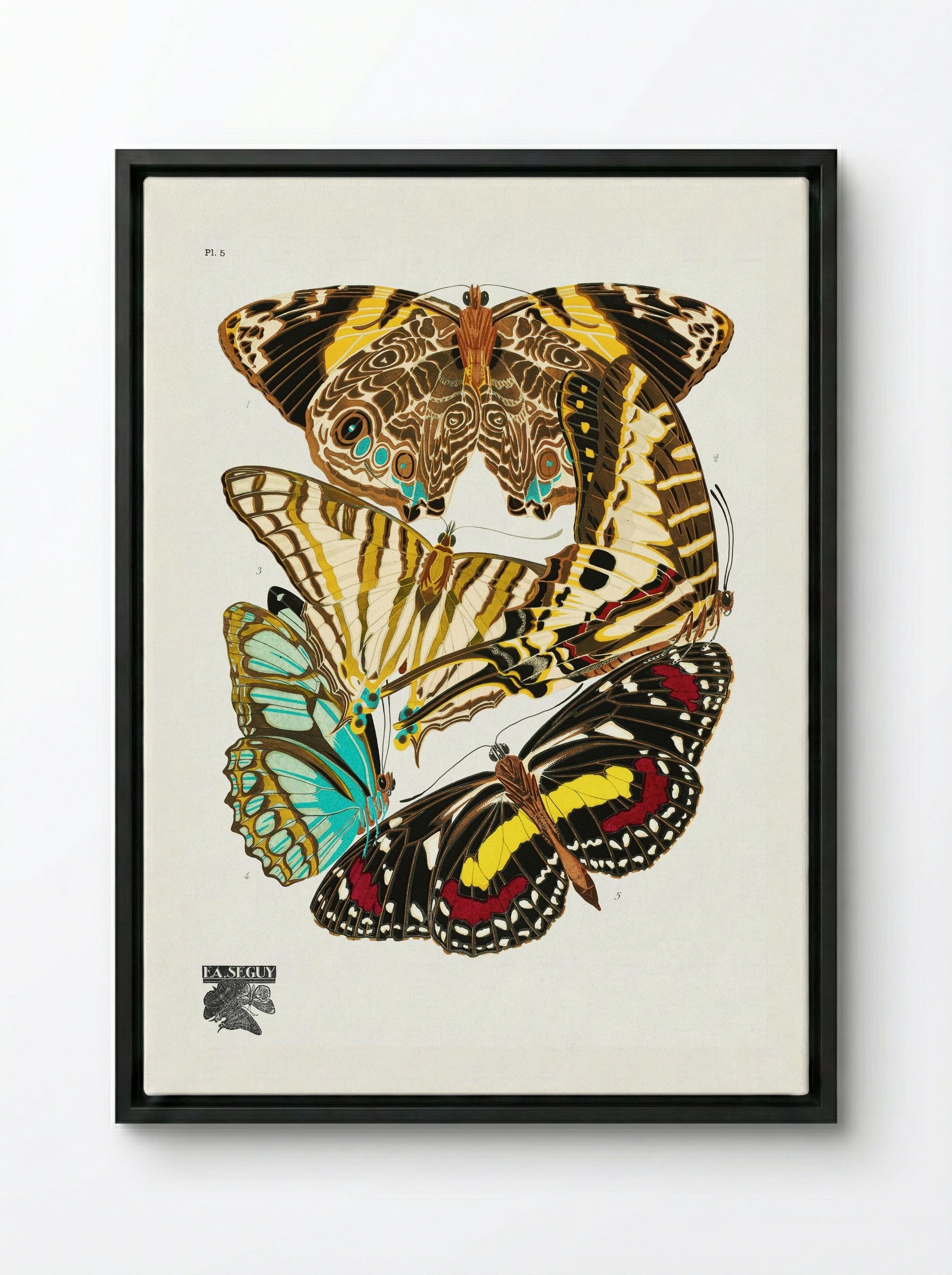 Butterflies, Plate 5 - Émile-Allain Séguy - Framed Canvas Black