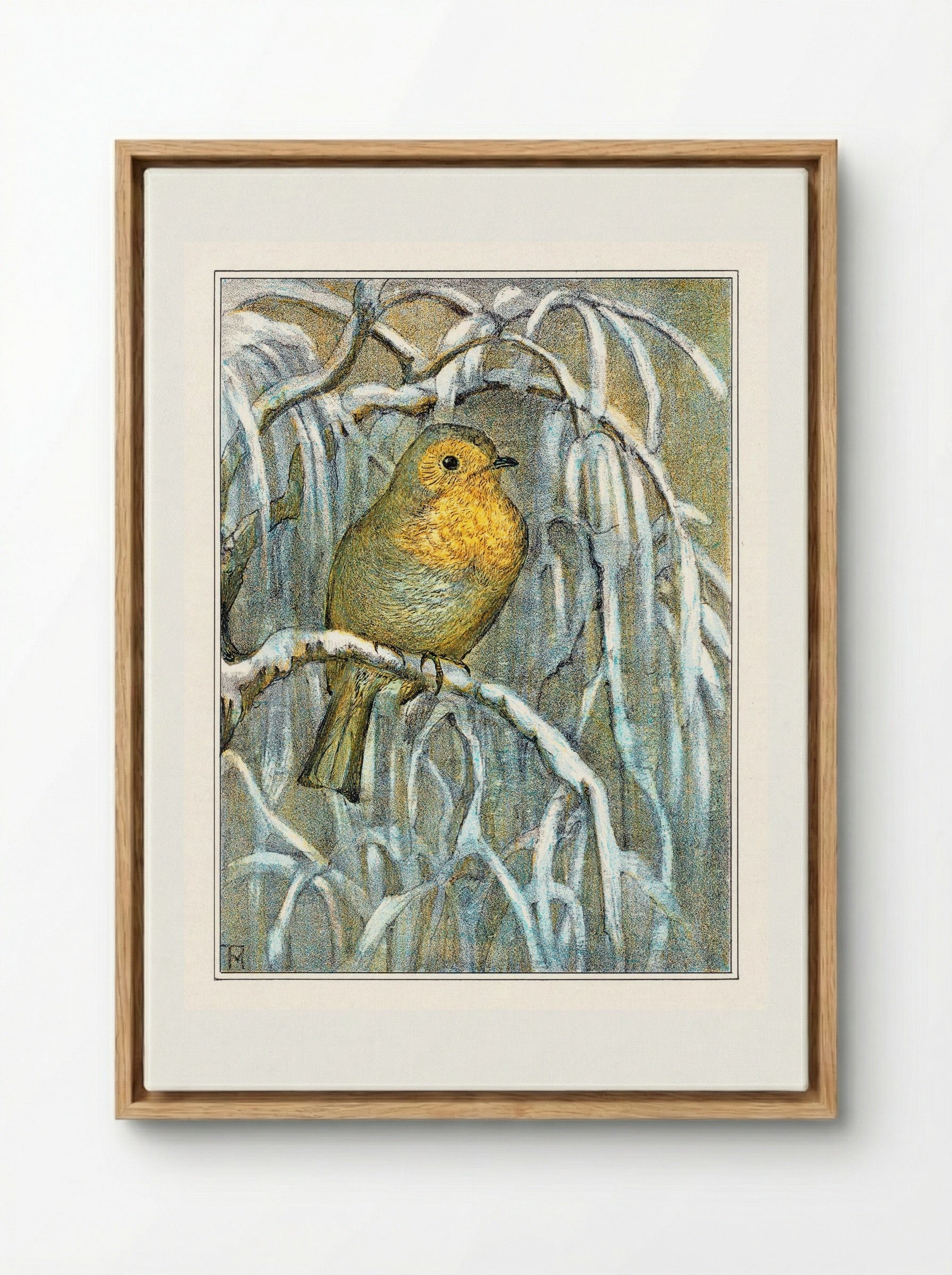 Robin on Snowy Branch - Theo van Hoytema - Framed Canvas Wood