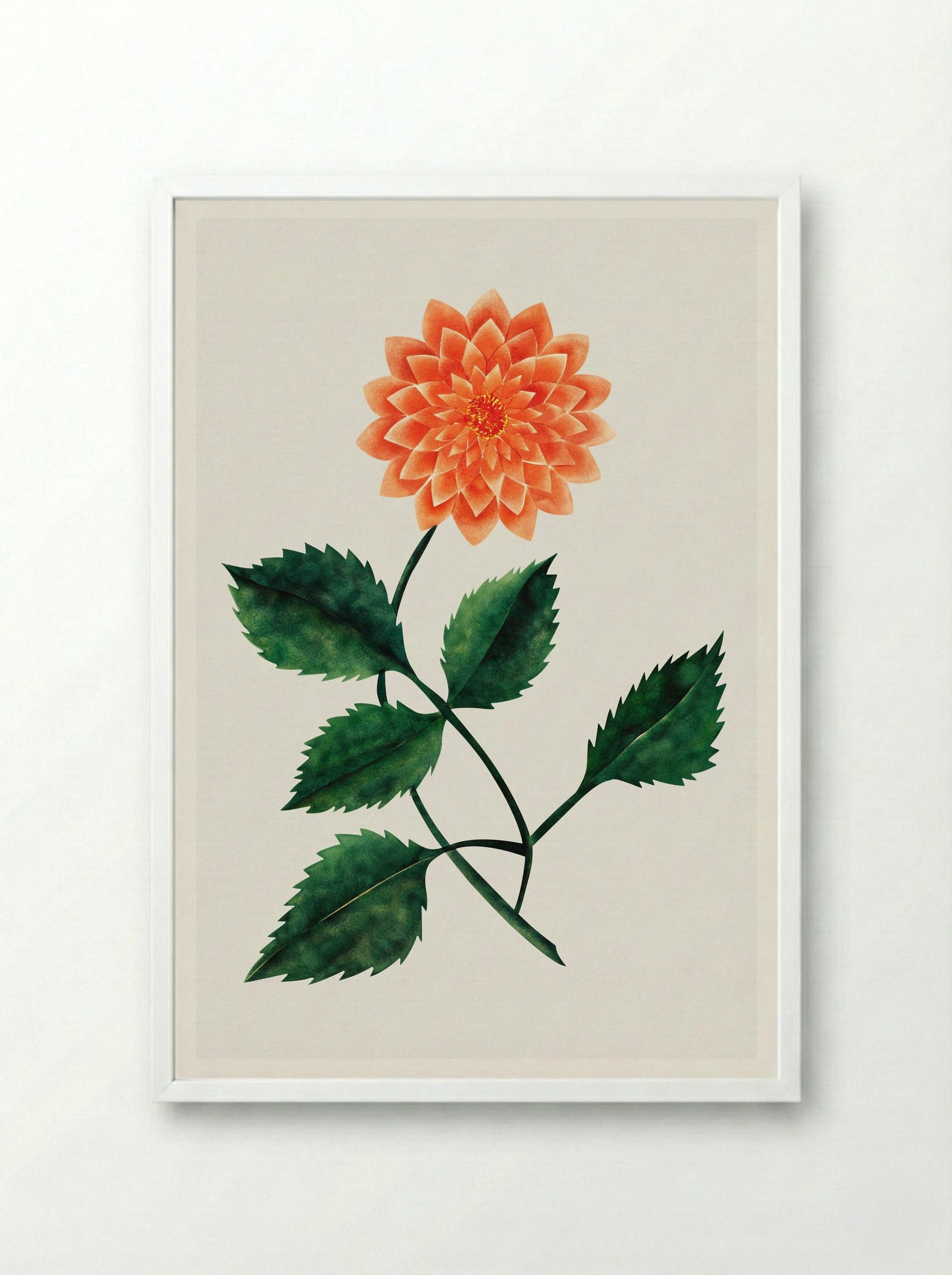 Dahlia - Mary Altha Nims - Framed Print White