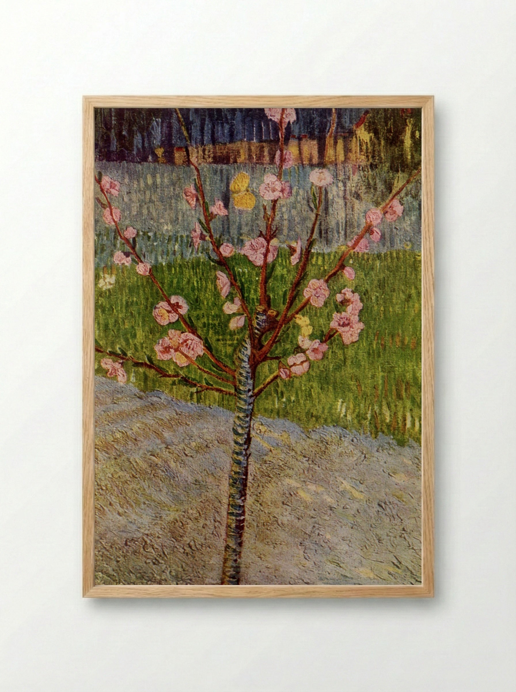 Almond Blossom - Vincent van Gogh - Framed Print Wood