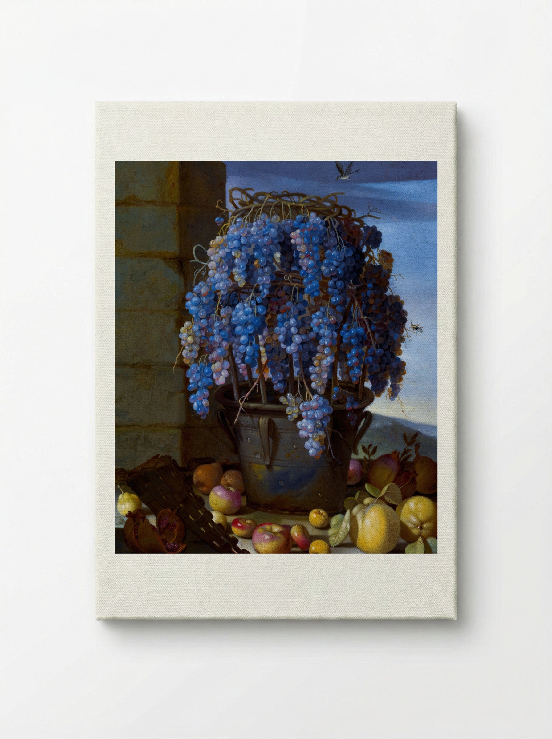 Still Life with Grapes and Other Fruit - Luca Forte - Canvas