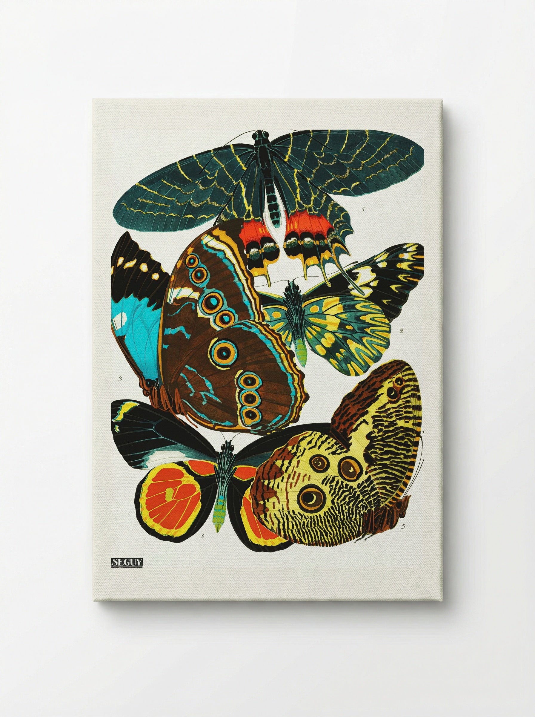 Butterflies (Plate 2) - Eugène Alain Séguy - Canvas