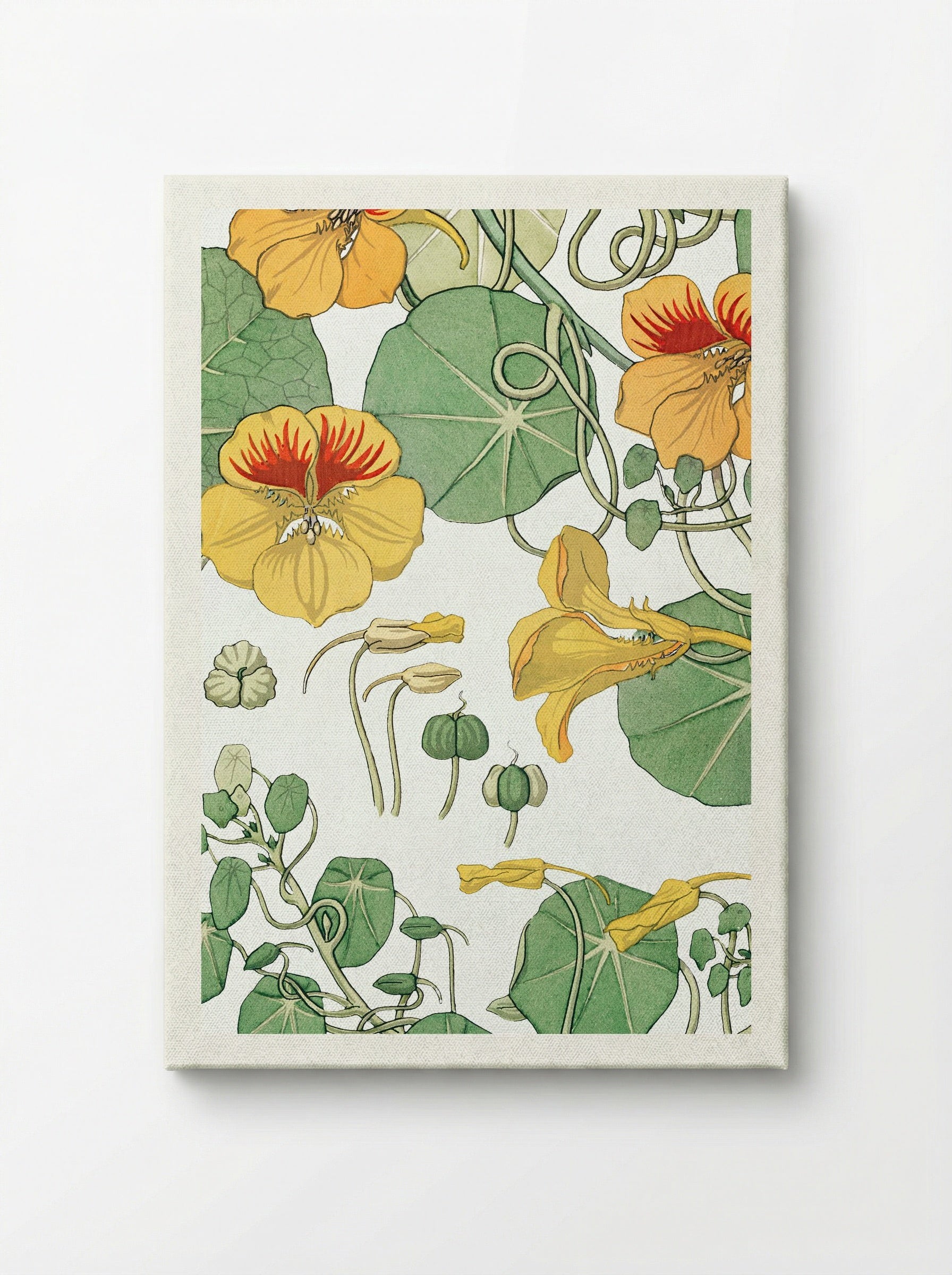 Capucine (Nasturtium) - Maurice Pillard Verneuil - Canvas