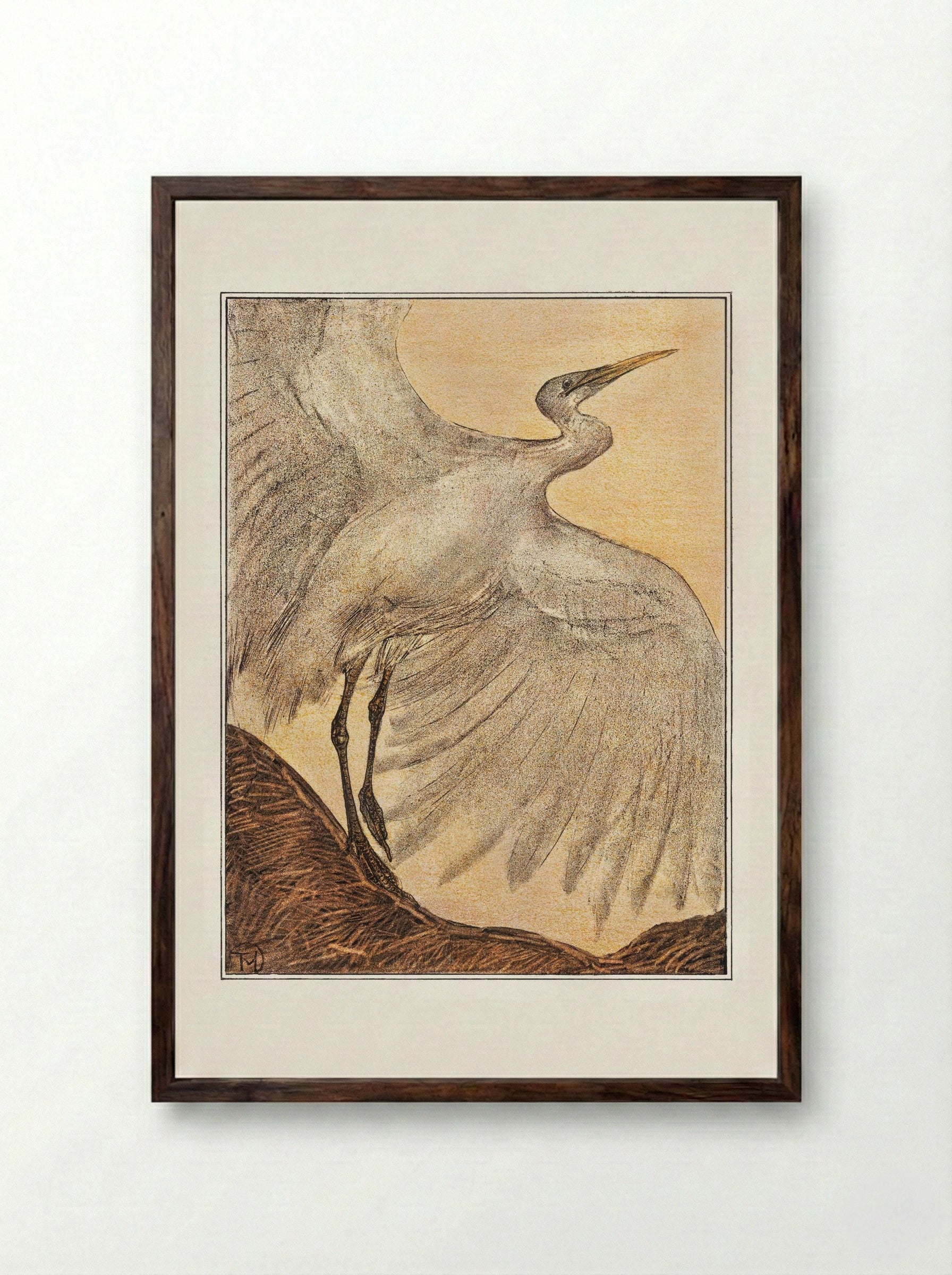 Zilverreiger (Heron) - Theo van Hoytema - Framed Print Dark Wood