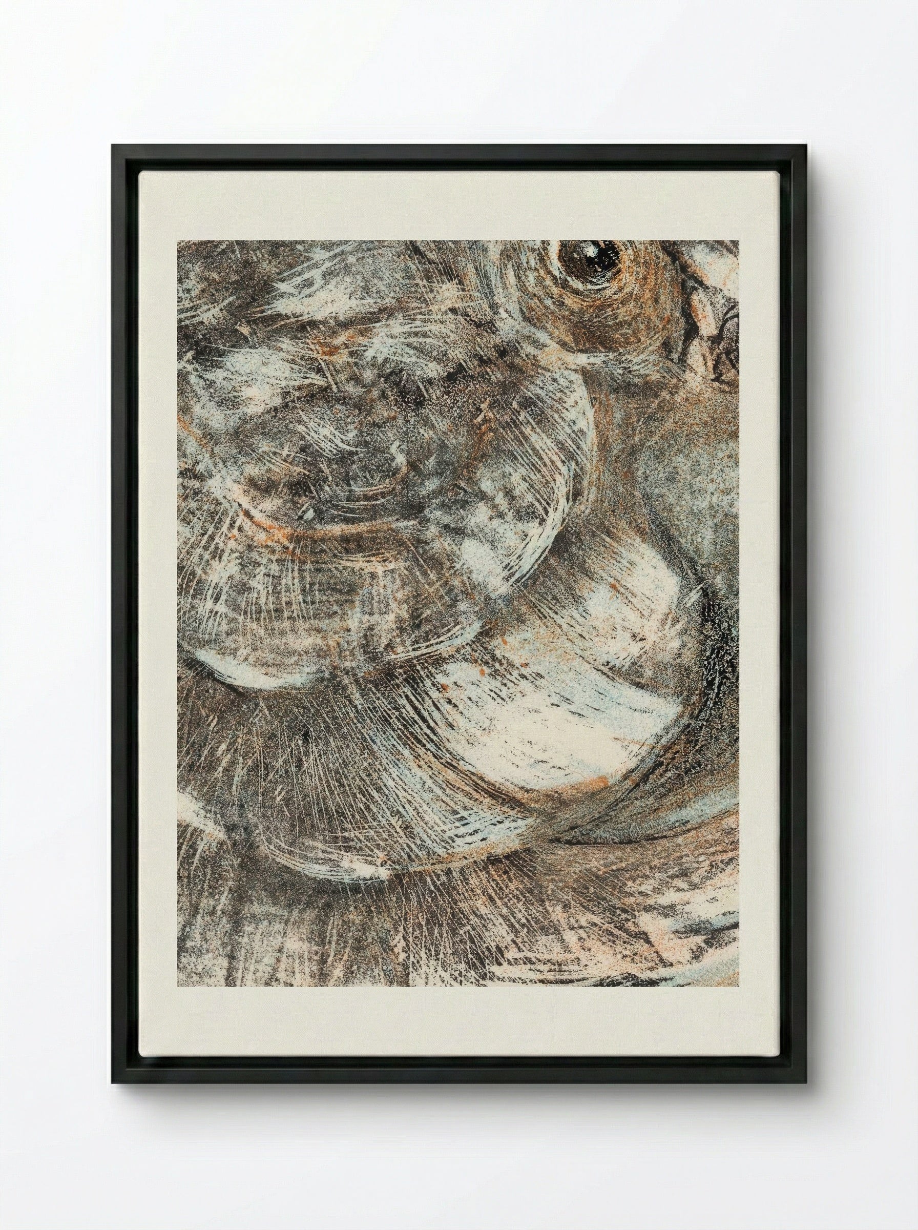 Head of a Parrot - Theo van Hoytema - Framed Canvas Black