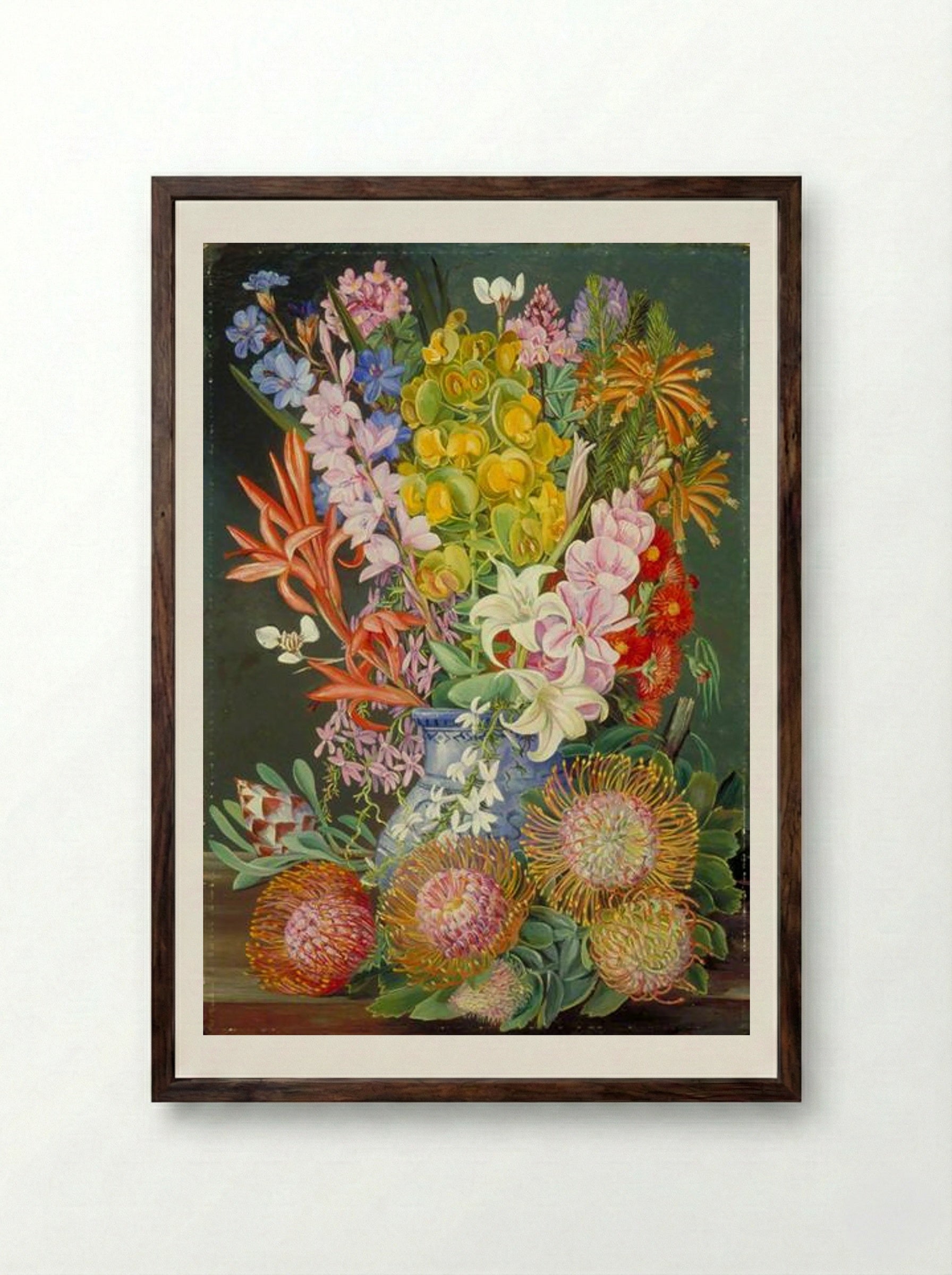 Wild Flowers of Ceres, South Africa - Marianne North - Framed Print Dark Wood