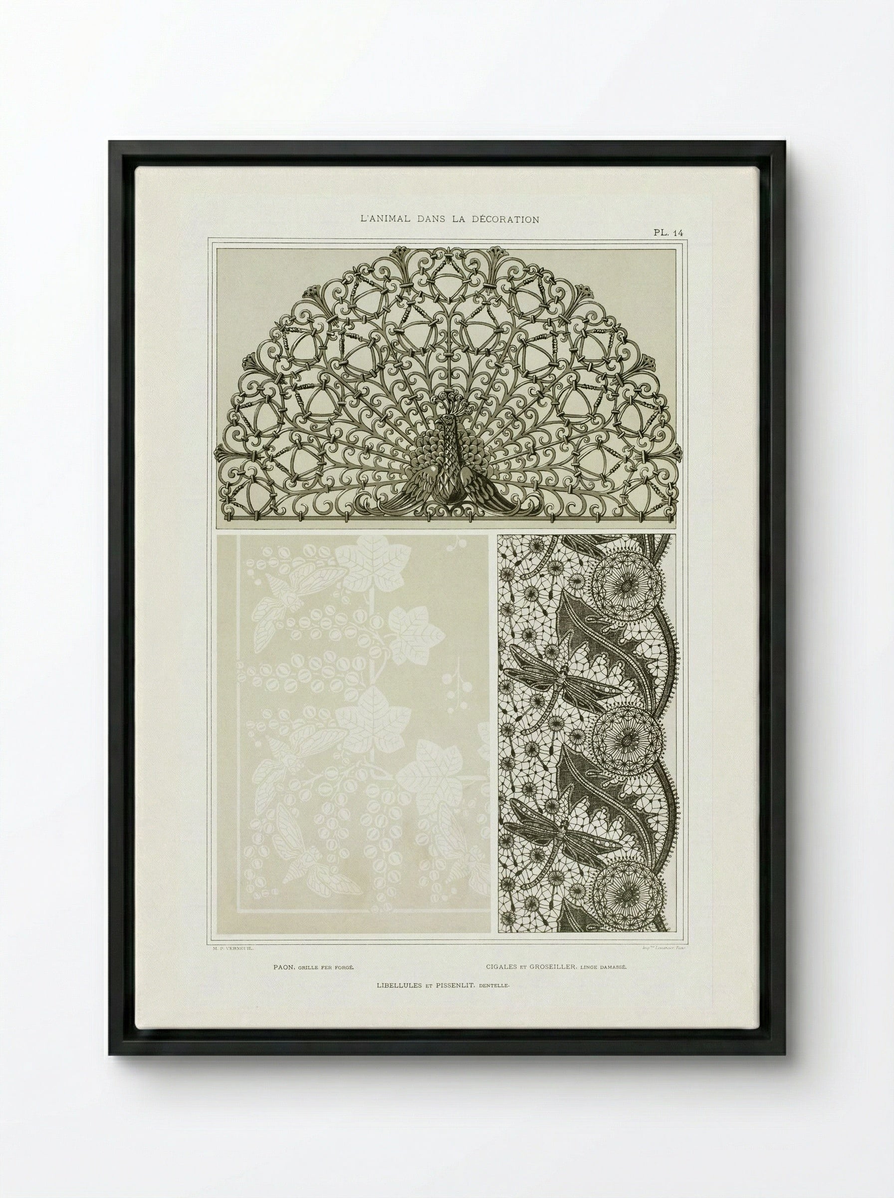 L'Animal dans la Décoration, Plate 14 (Peacock, Cicadas, Dragonflies) - Maurice Pillard Verneuil - Framed Canvas Black
