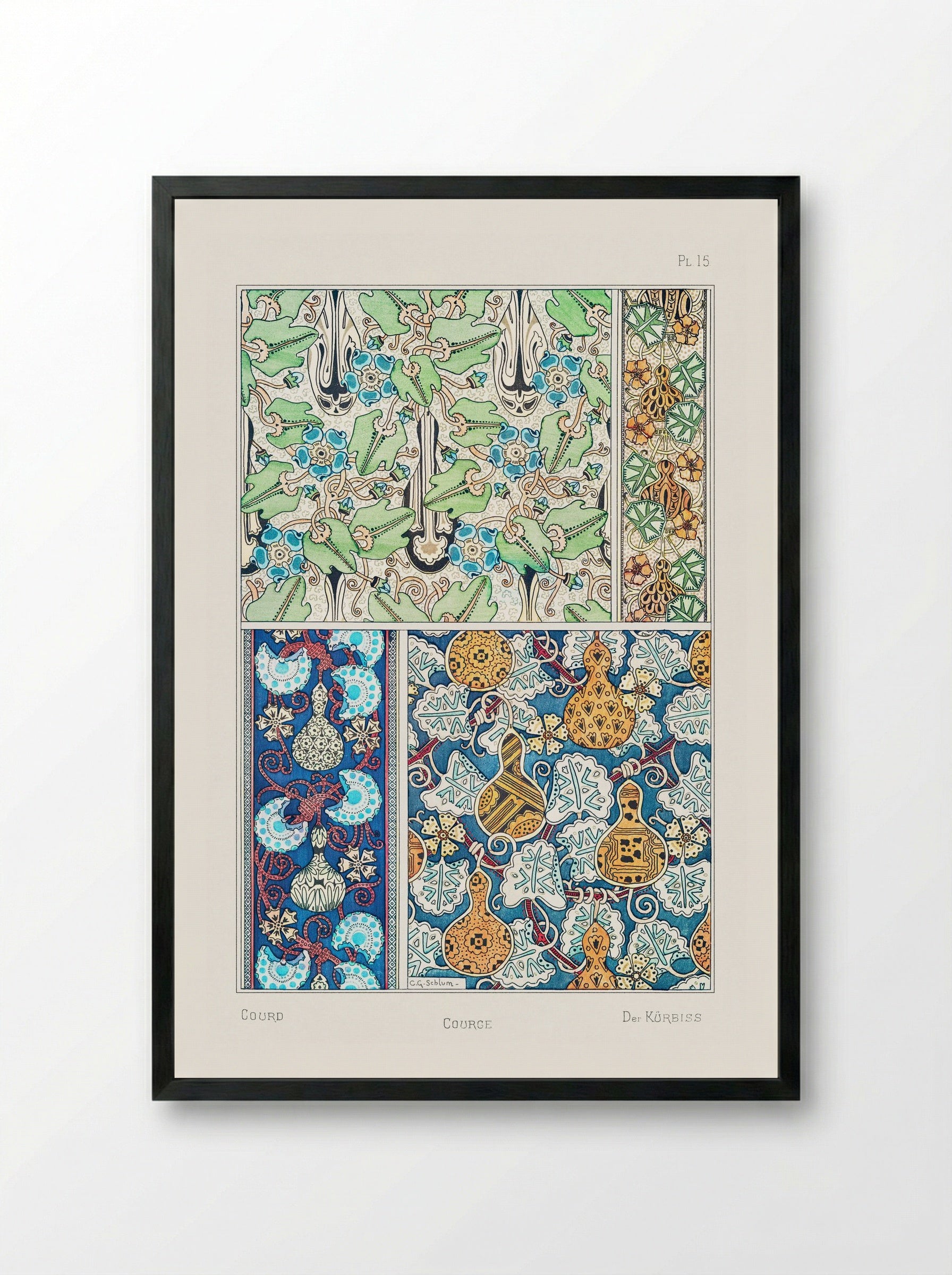 Courge (White-Flowered Gourd) from La Plante et ses Applications ornementales - Maurice Pillard Verneuil - Framed Print Black