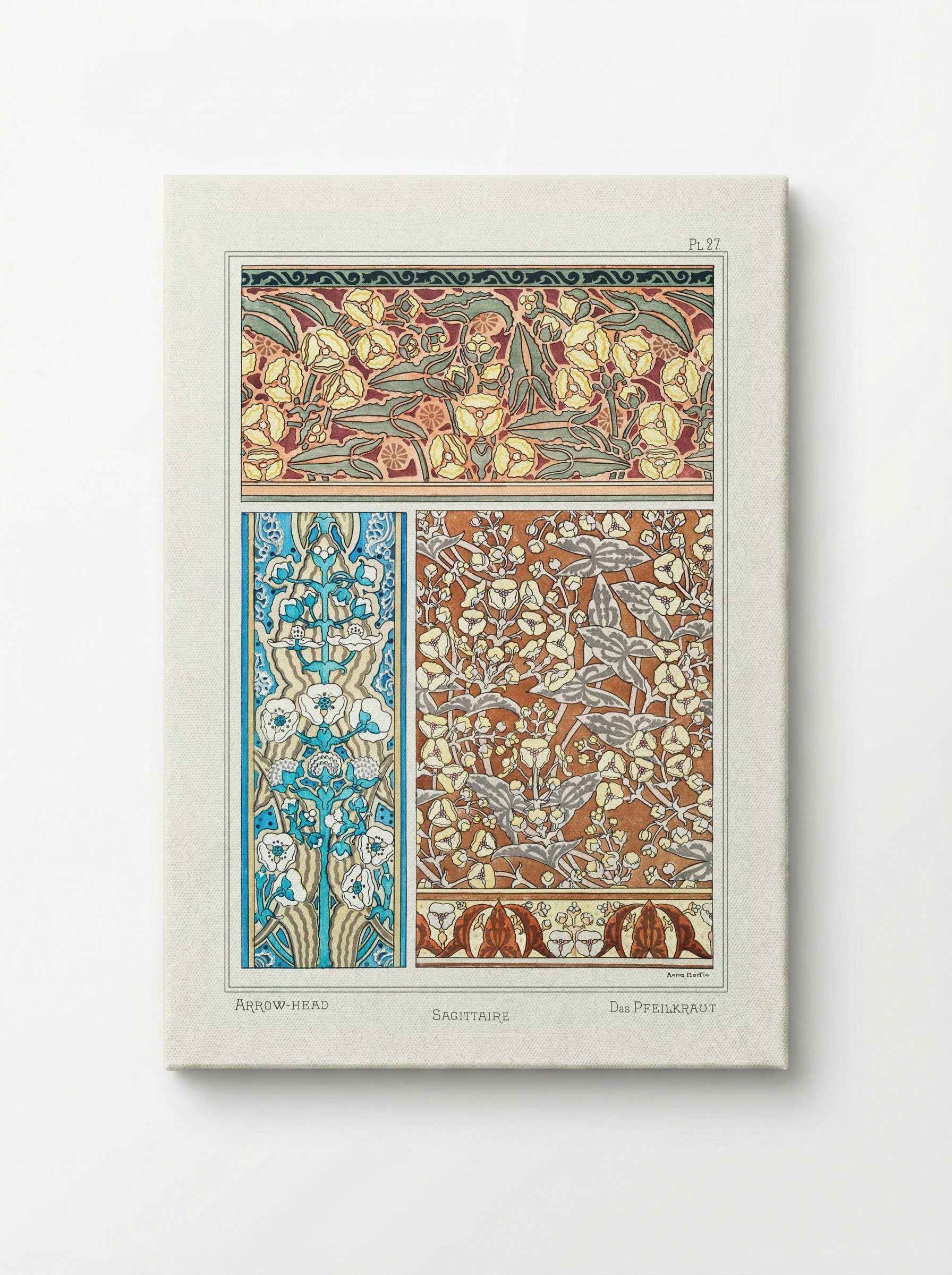 Sagittaire (Arrowhead) from La Plante et ses Applications ornementales - Maurice Pillard Verneuil - Canvas