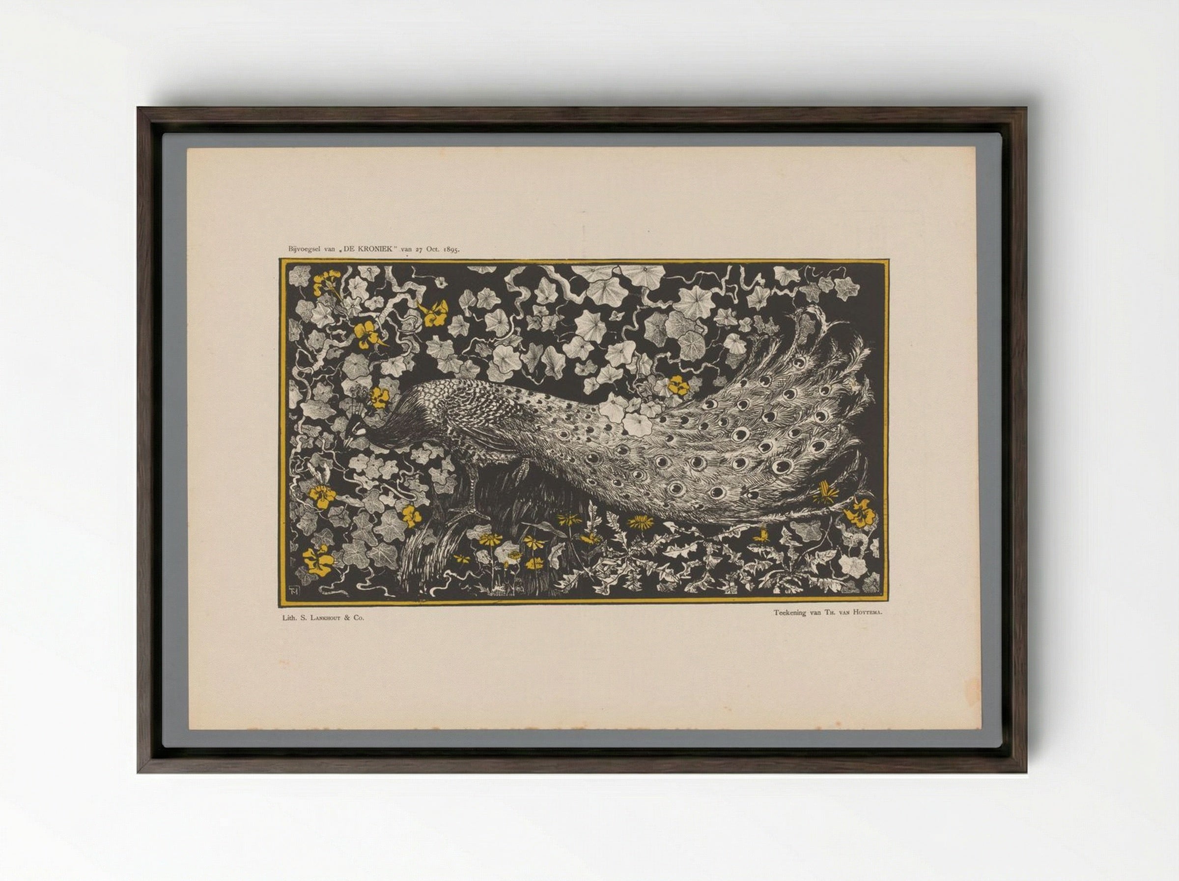 Pauw (Peacock Design) - Theo van Hoytema - Framed Canvas Dark Wood