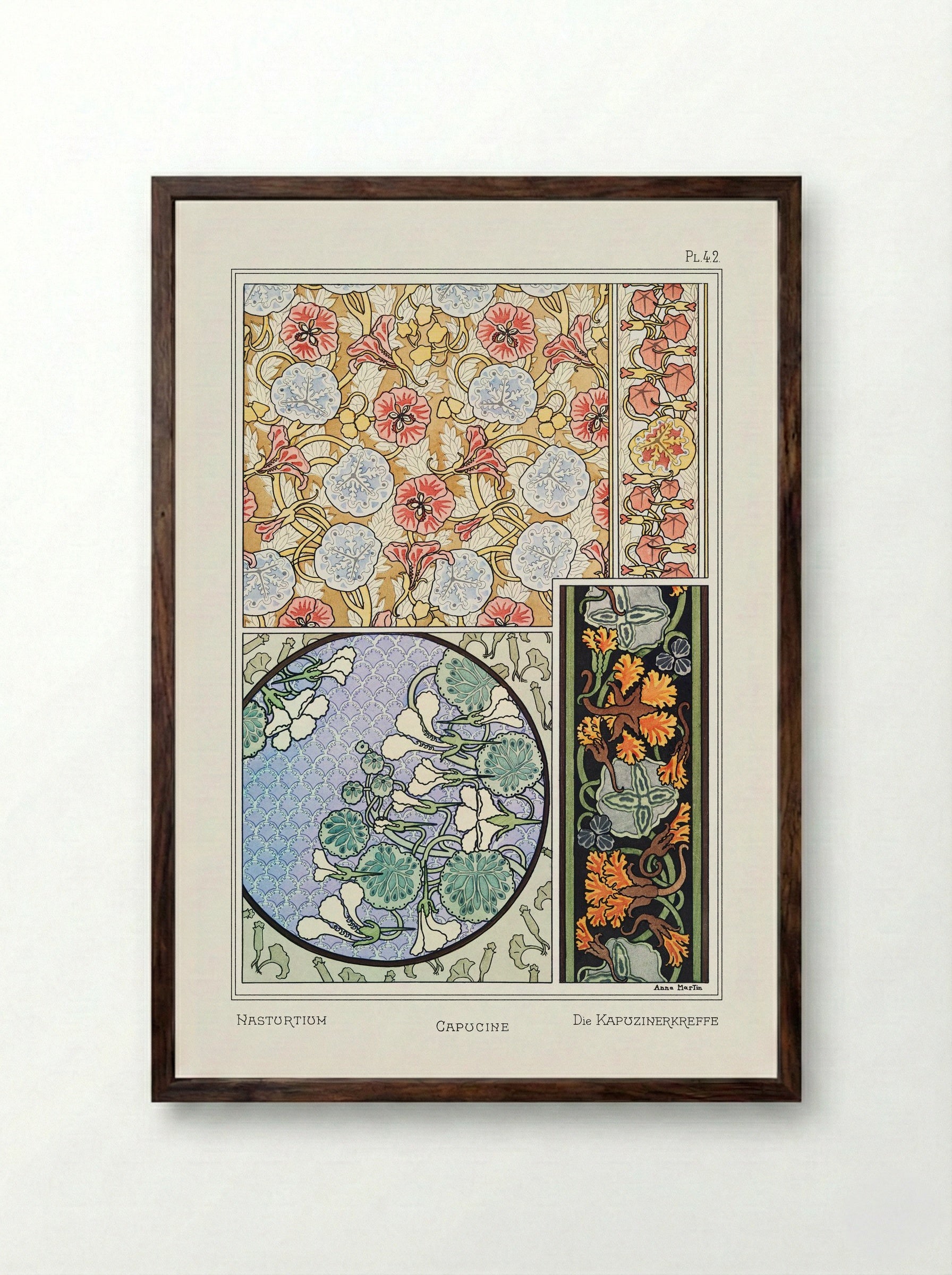 Capucine (Nasturtium) from La Plante et ses Applications ornementales - Maurice Pillard Verneuil - Framed Print Dark Wood